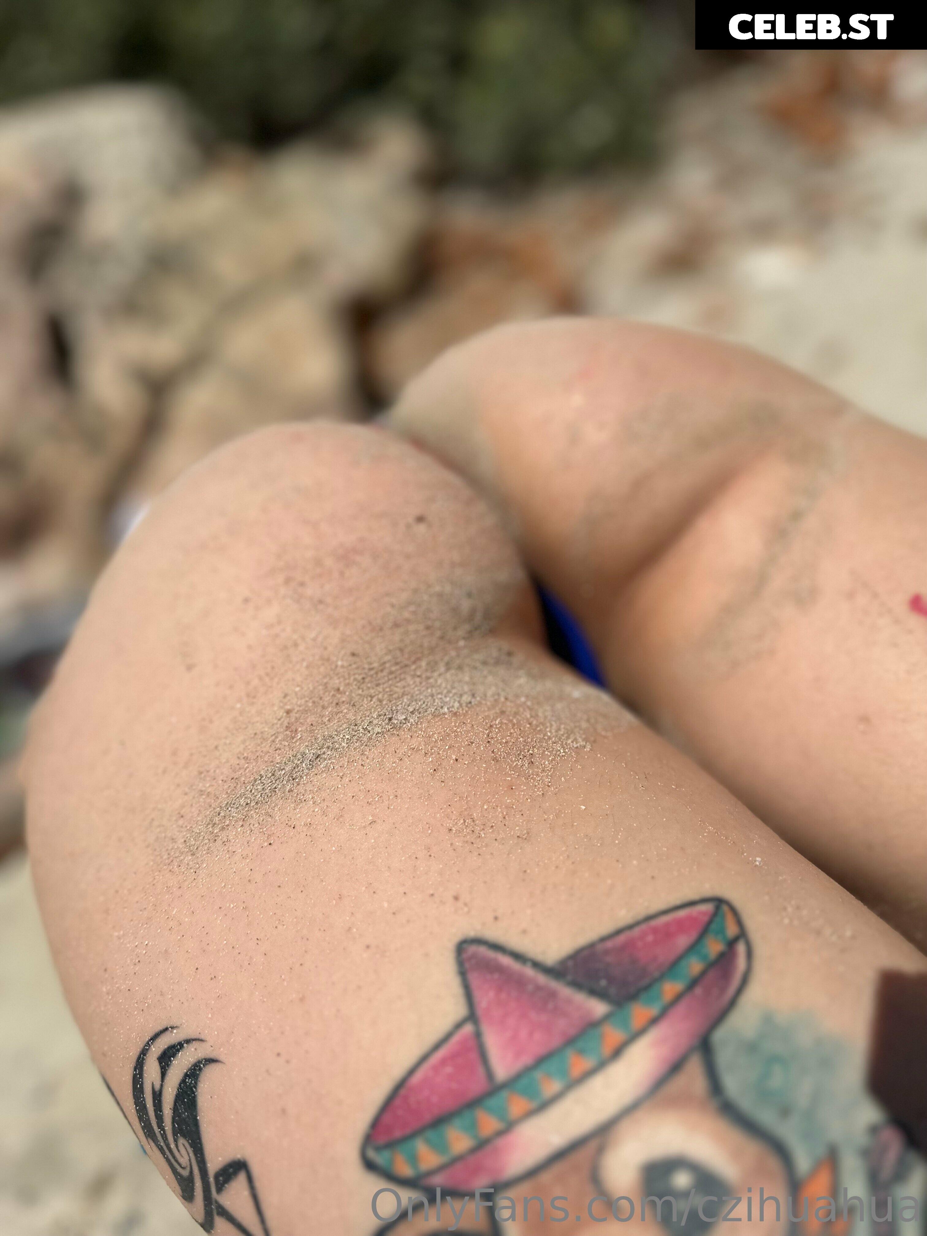 czihuahua Image 353694