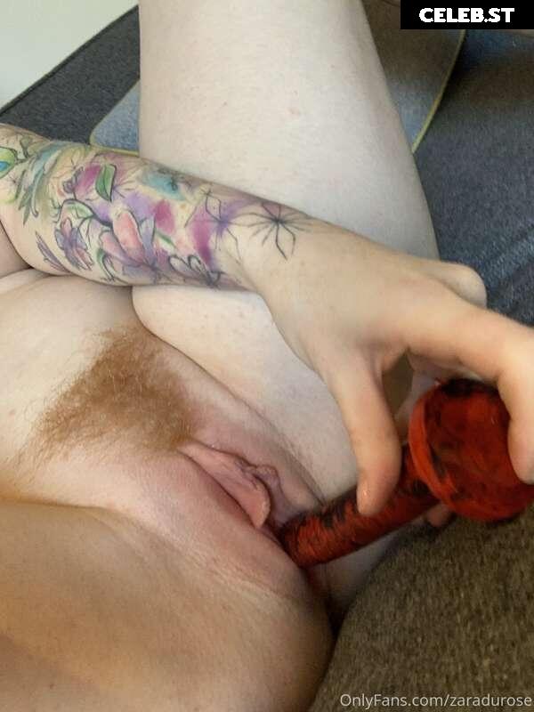 ZaraDuRose Image 353178