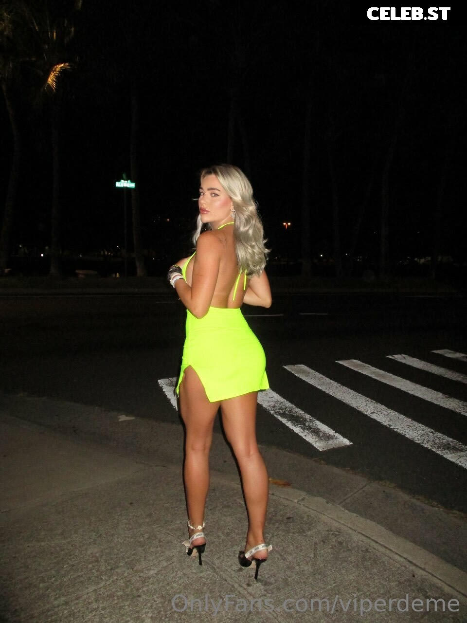 Viperdeme Image 352980