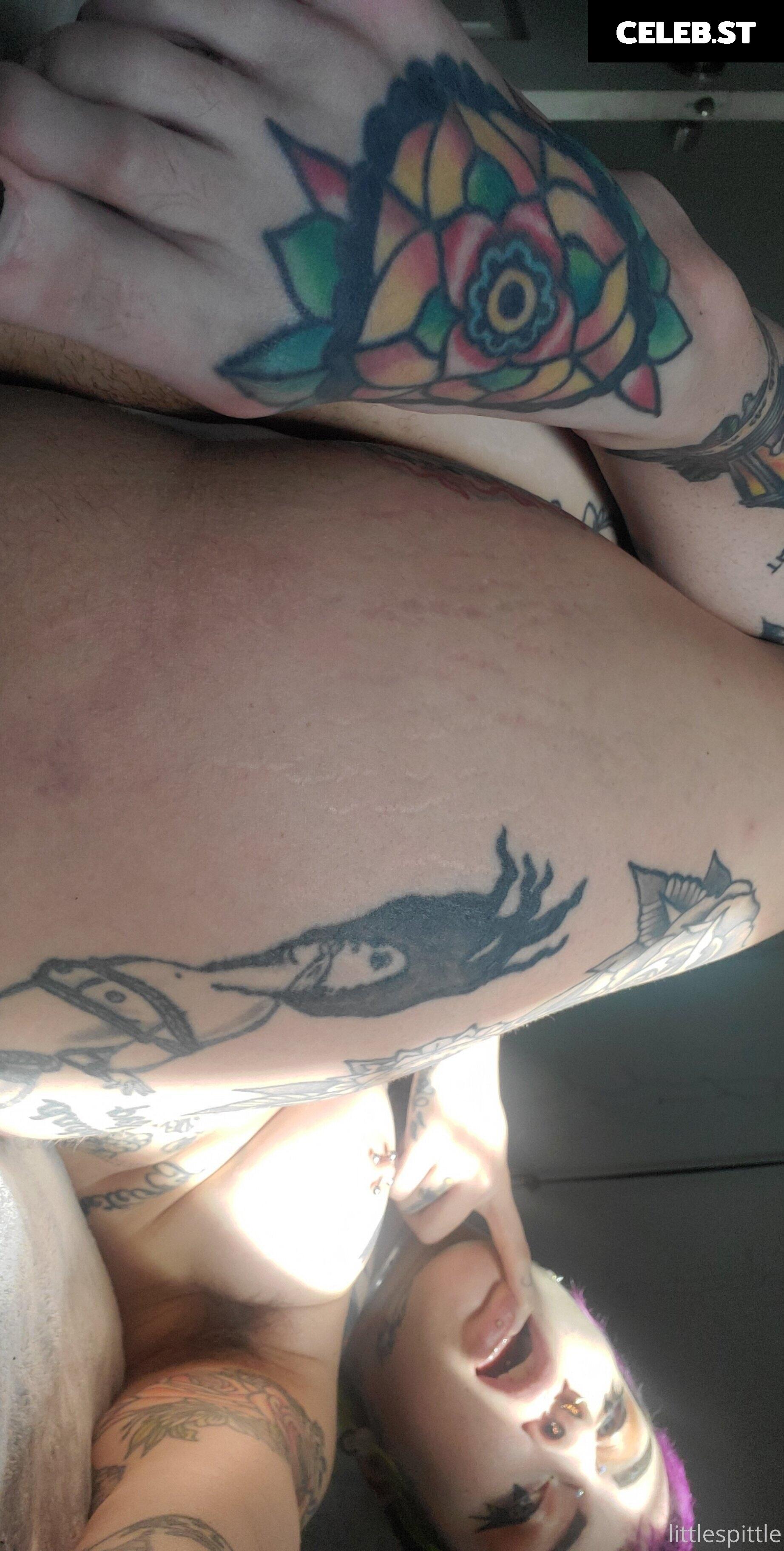 Little Spittle Image 351412
