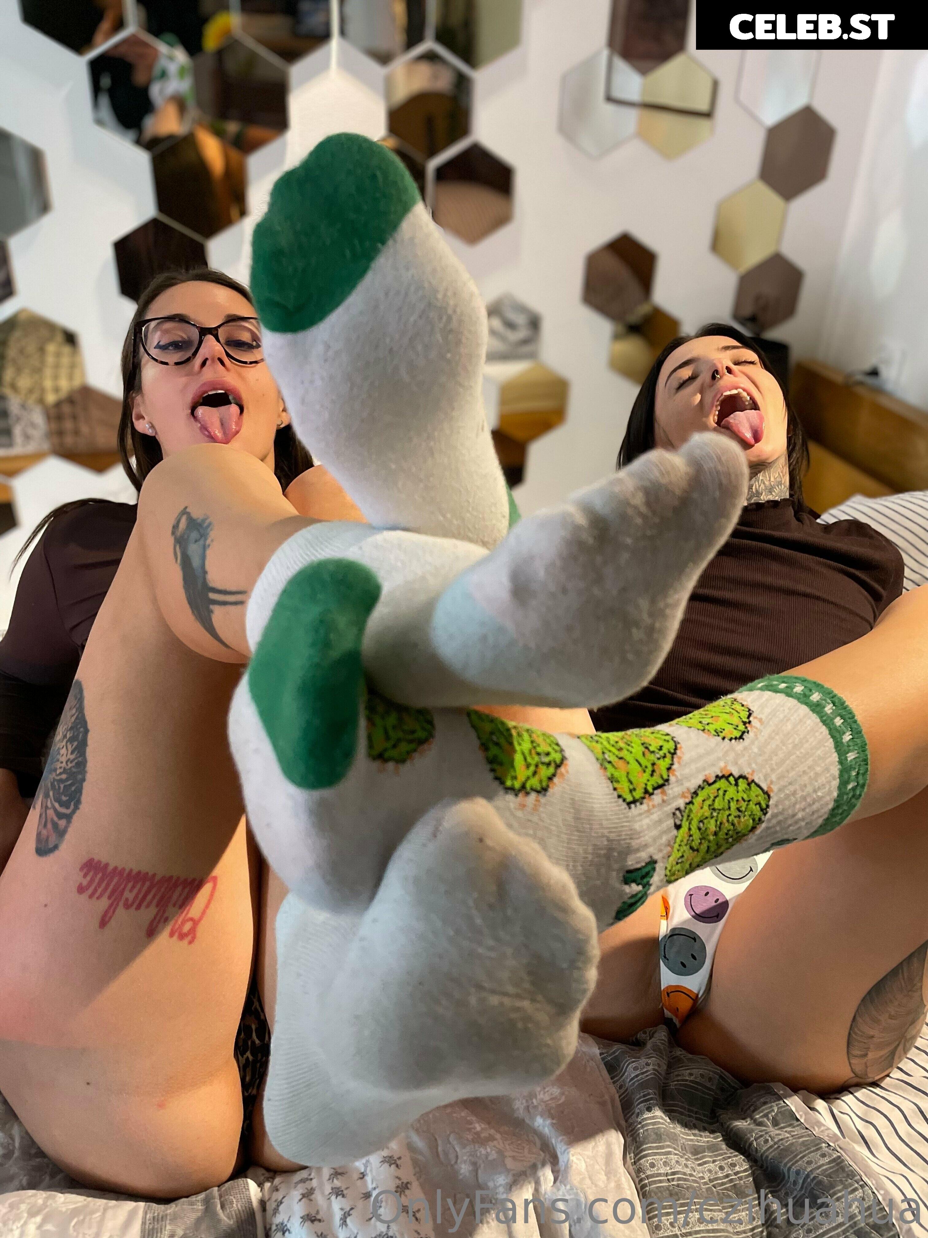 czihuahua Image 351422