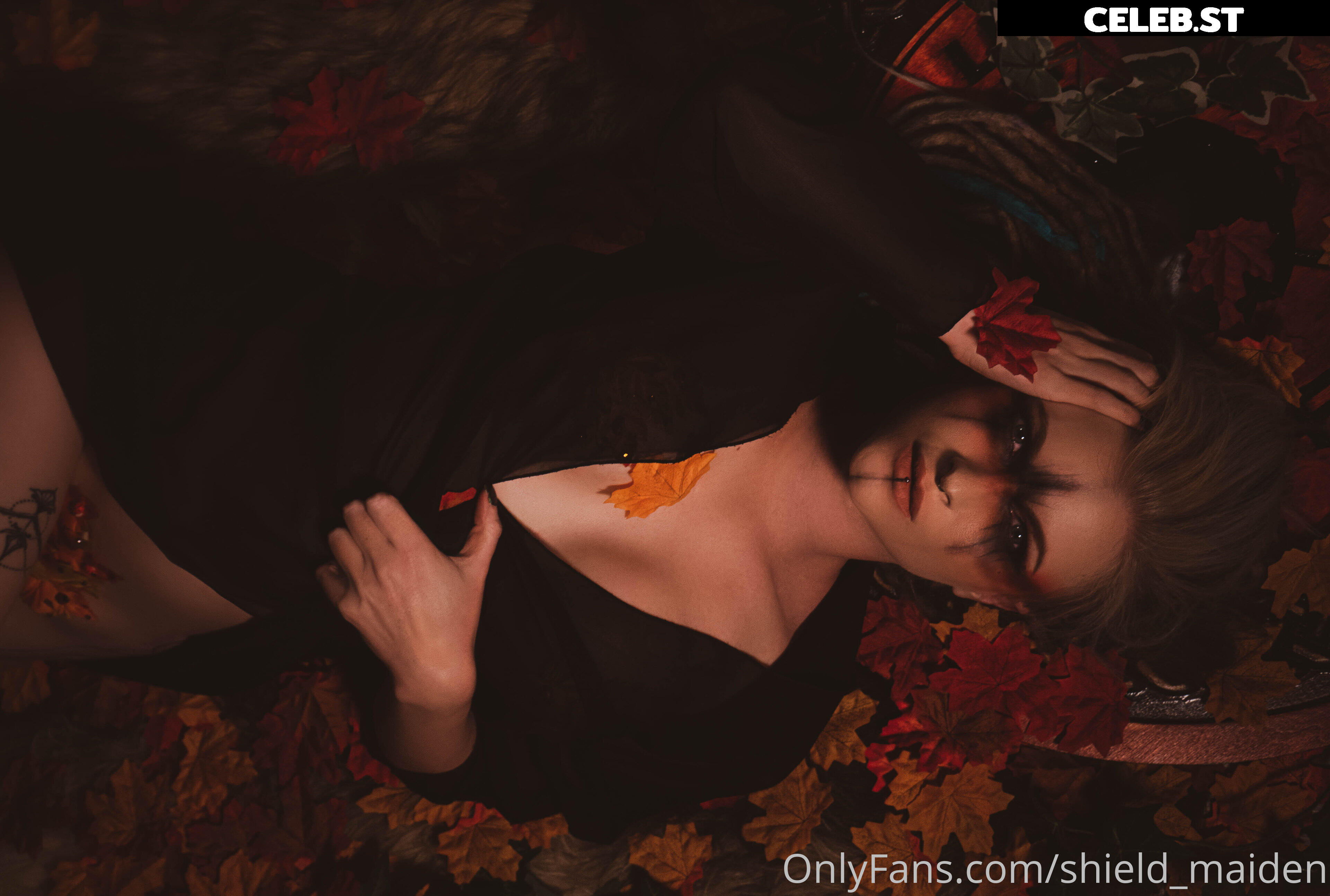 shield_maiden Image 350559