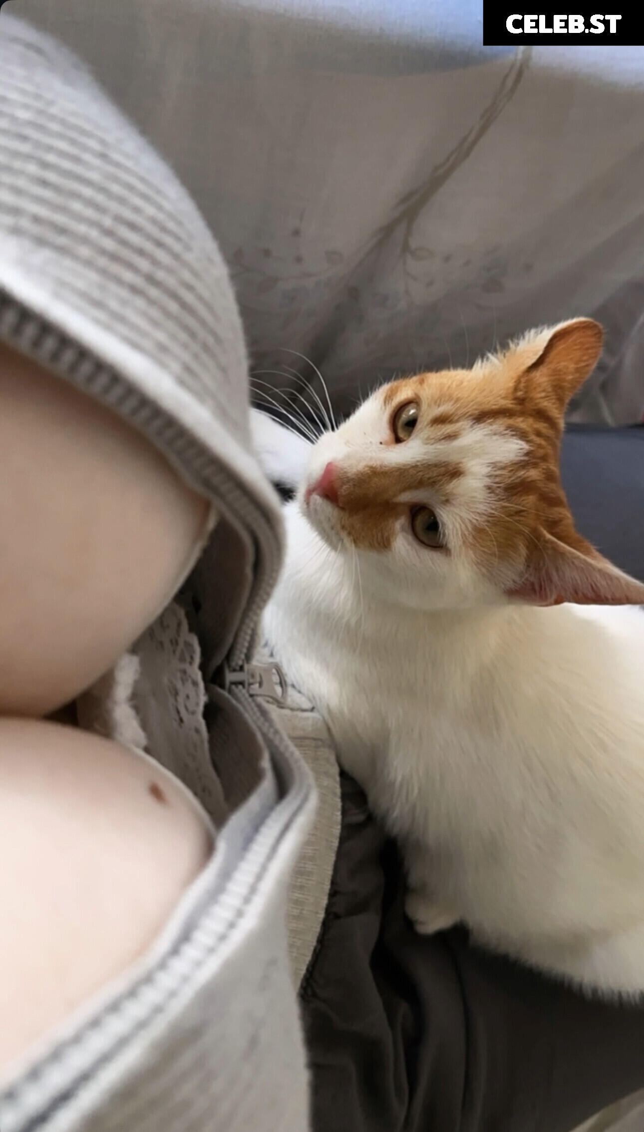 Naz - @fraaoula Image 3503526