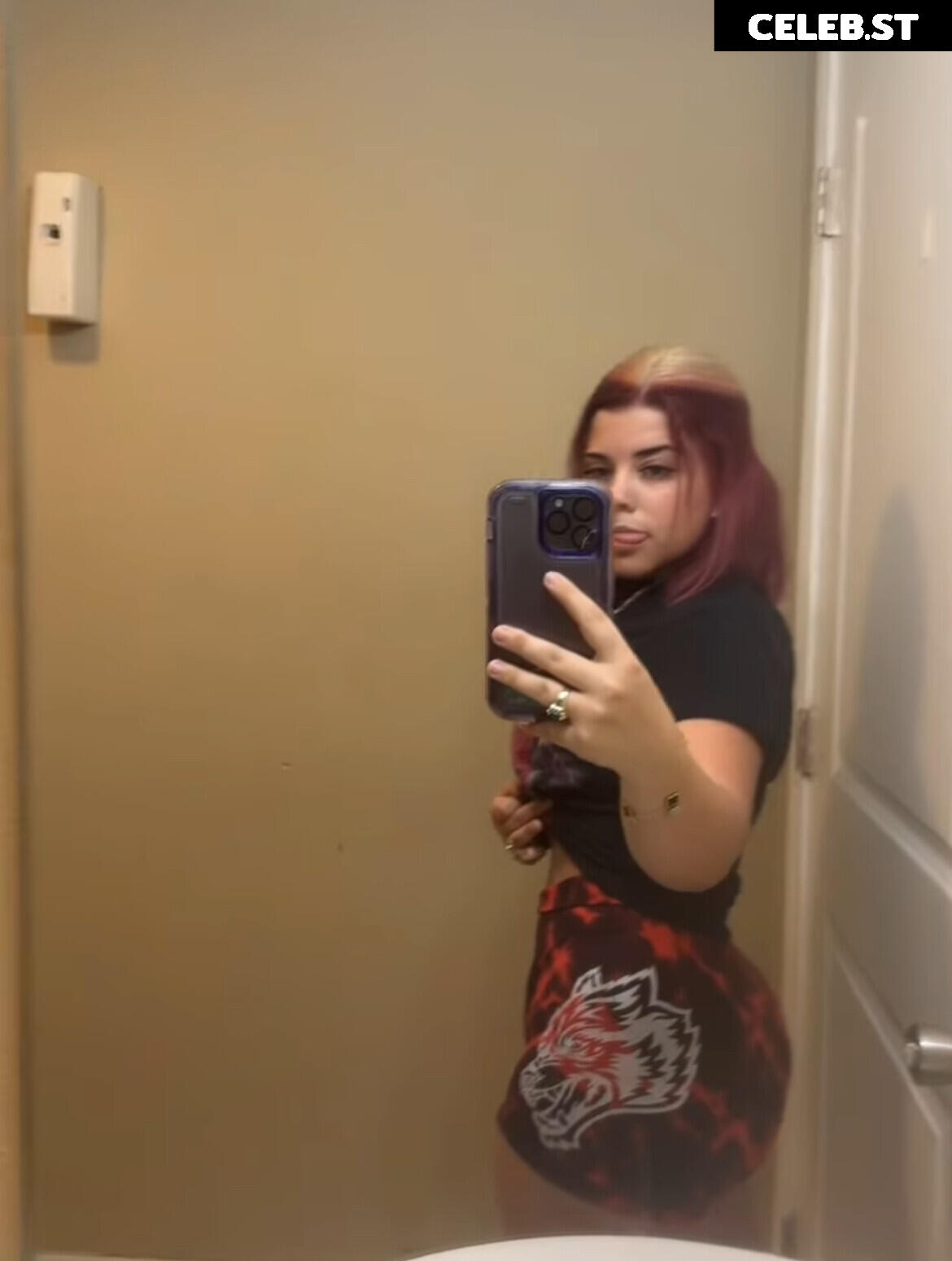 Lexis.adale Image 3500358