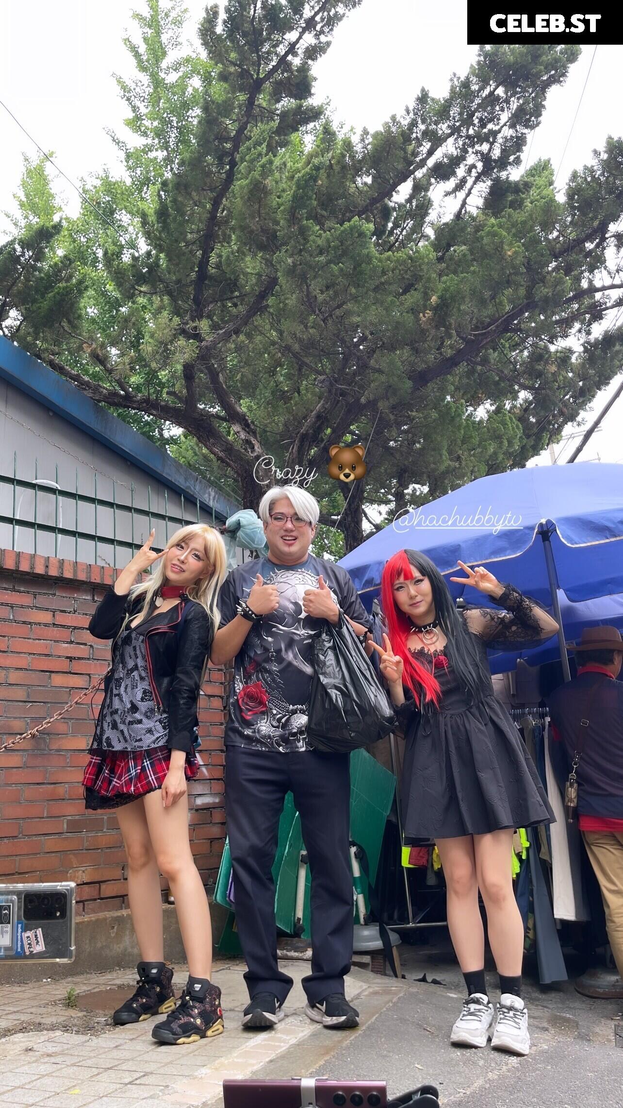 HAchubby Image 3655457