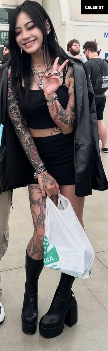 eggspringroll Image 3657886