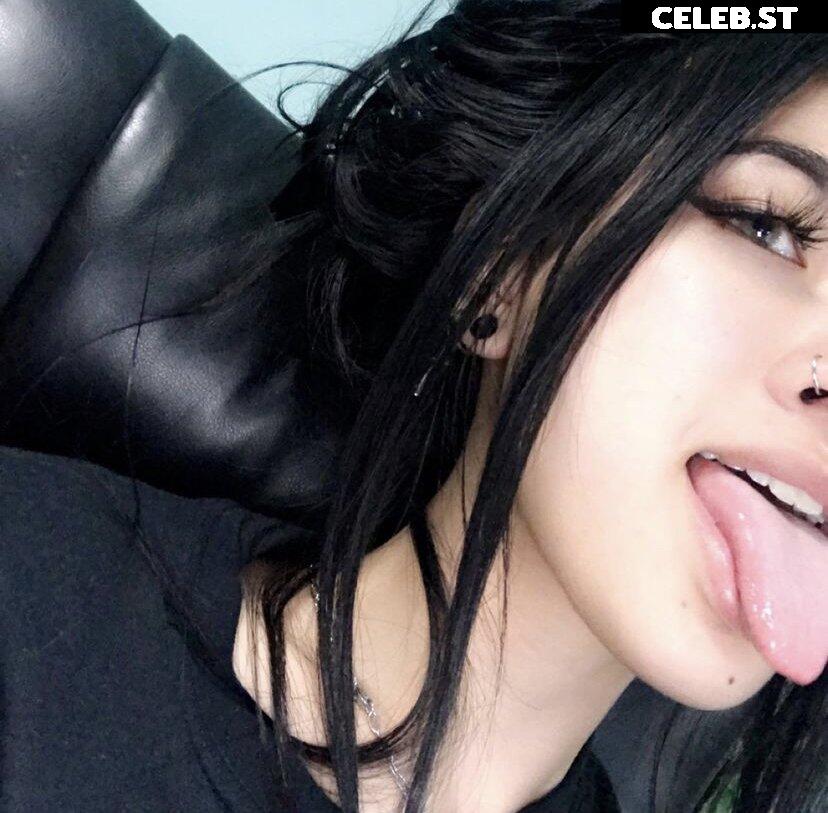 eggspringroll Image 3657021