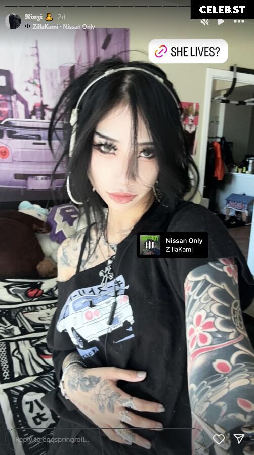 eggspringroll Image 3657254