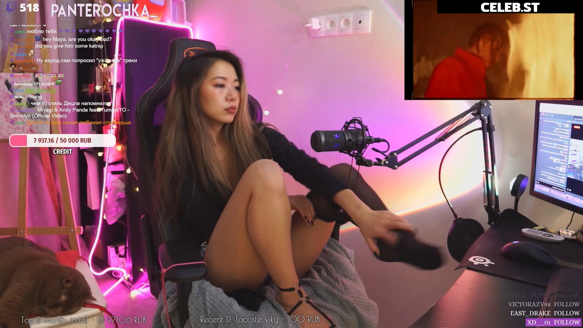 Panterochka Image 3651223