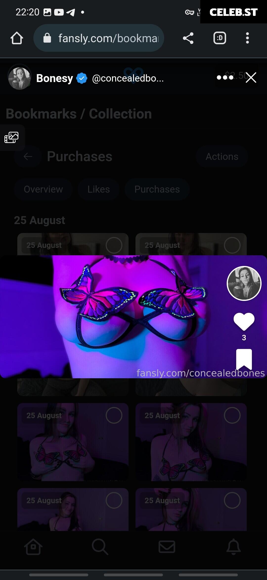 ConcealedBones Image 3646510