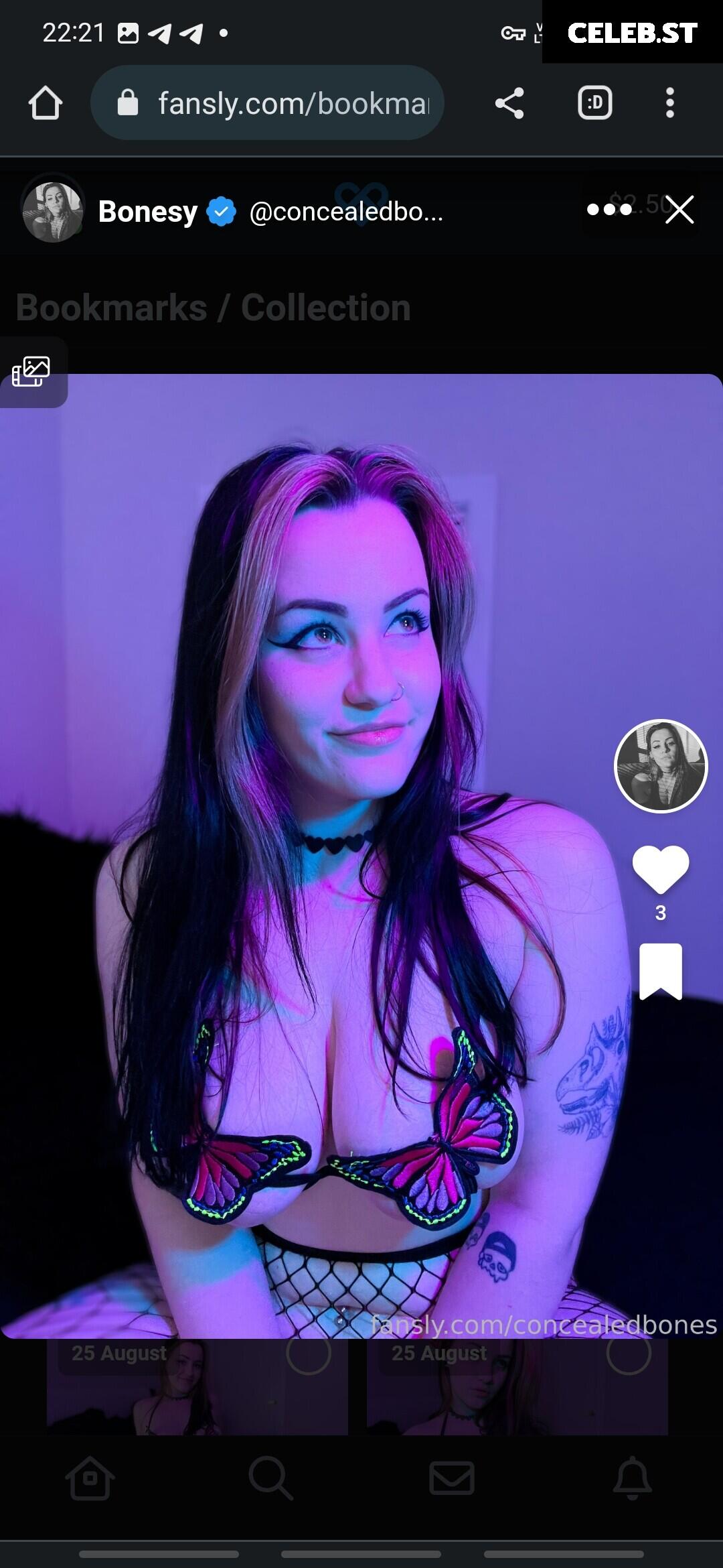 ConcealedBones Image 3646287