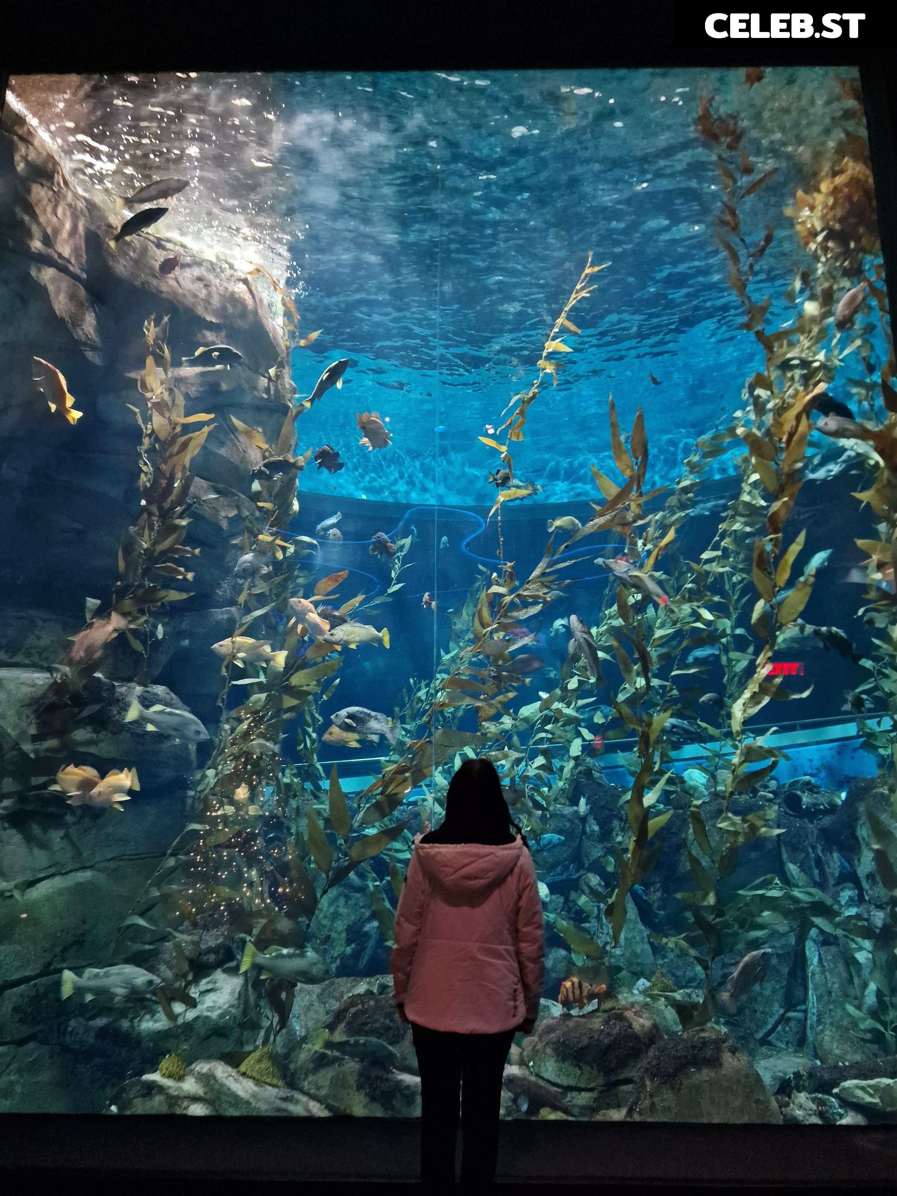 Wolfabelle Image 3635434