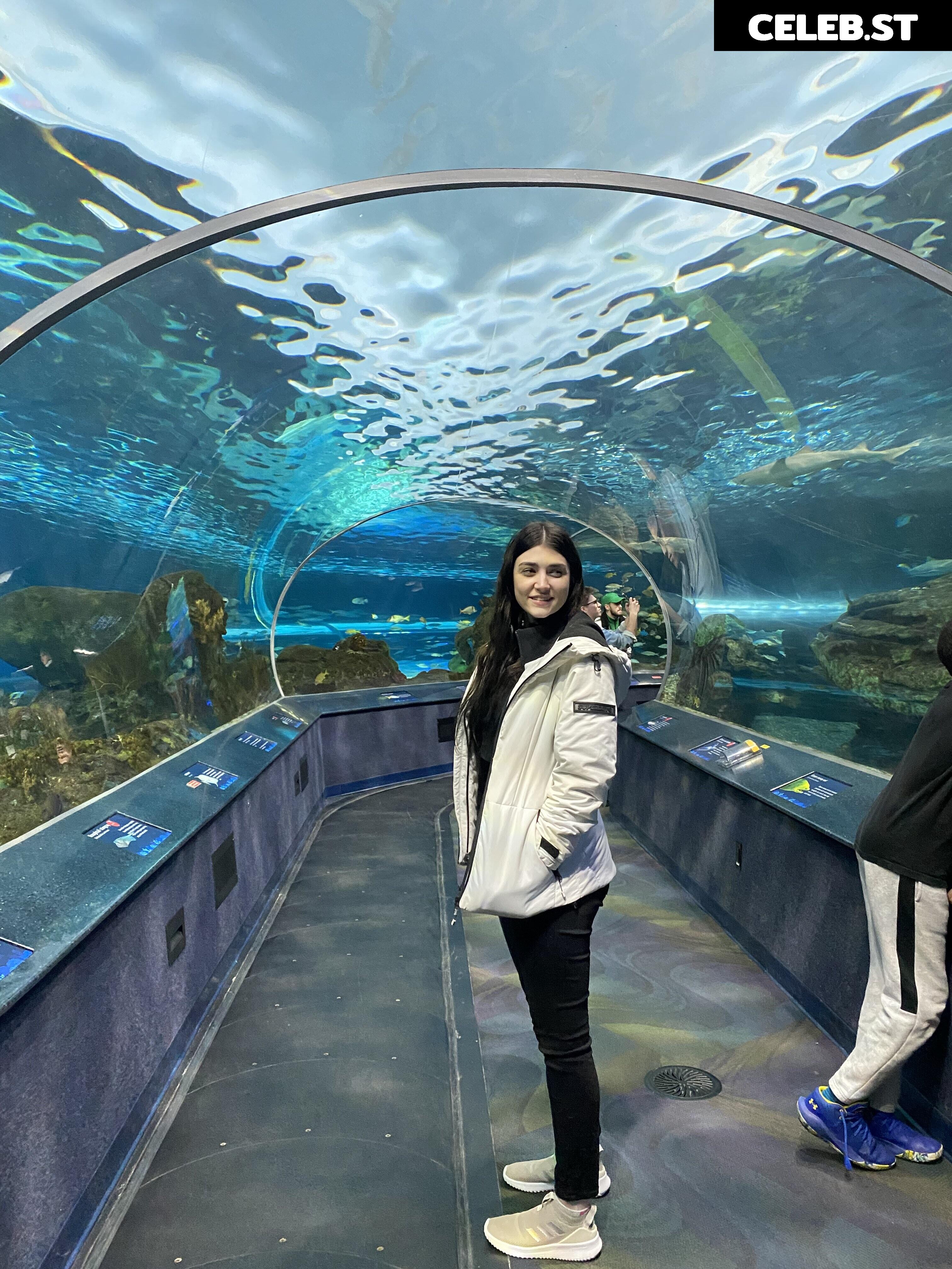 Wolfabelle Image 3635782