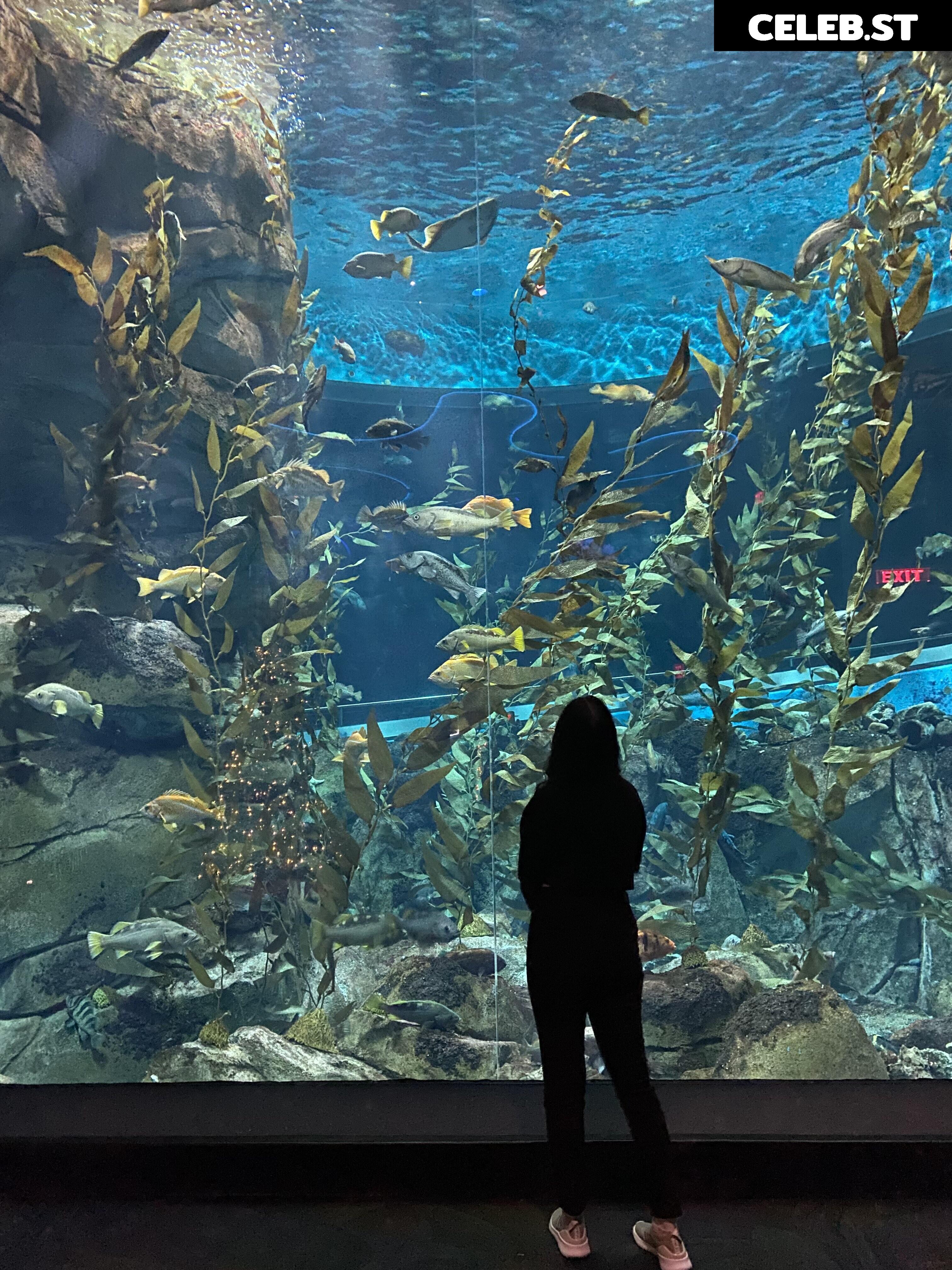 Wolfabelle Image 3635754