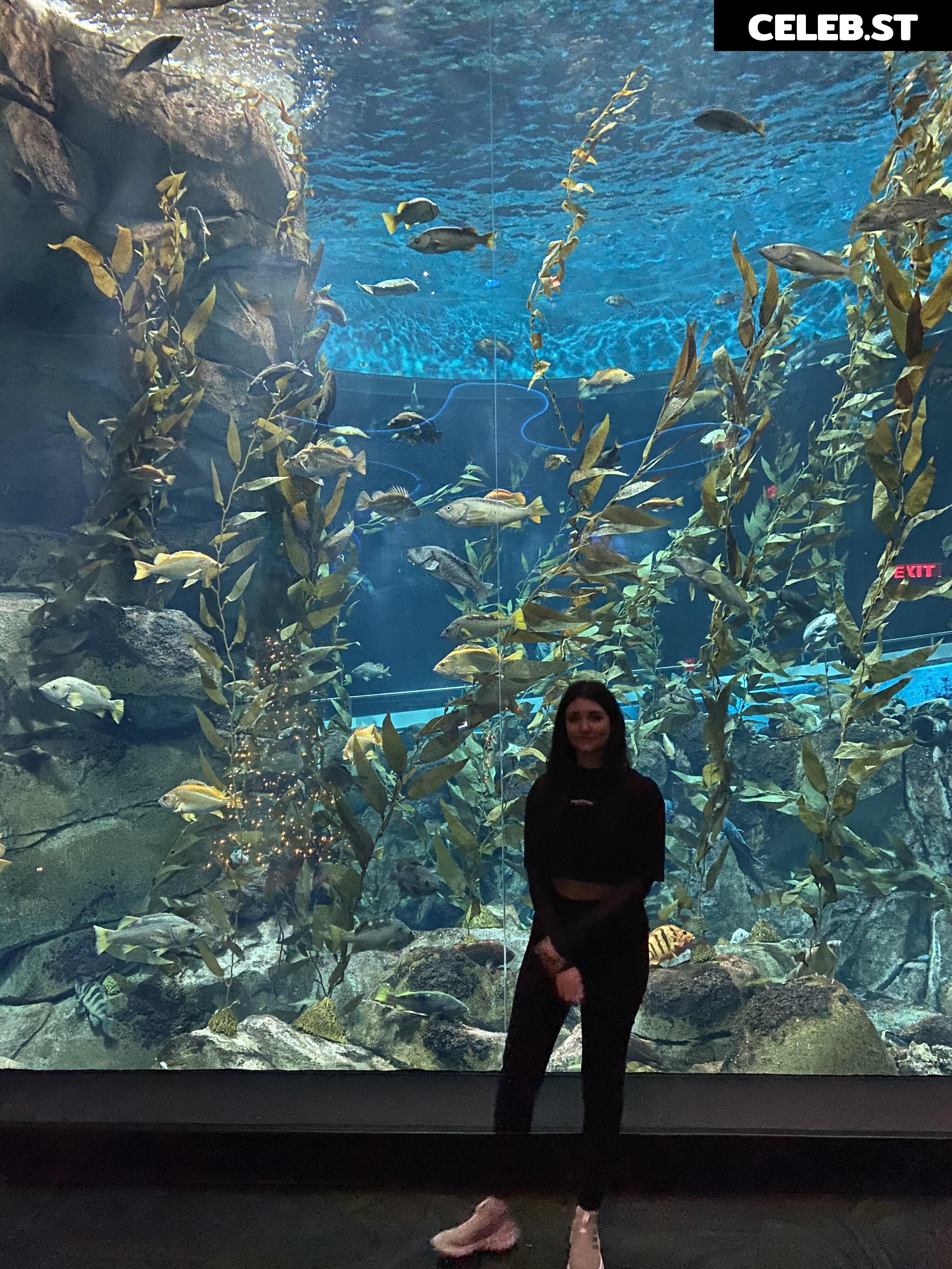 Wolfabelle Image 3635700