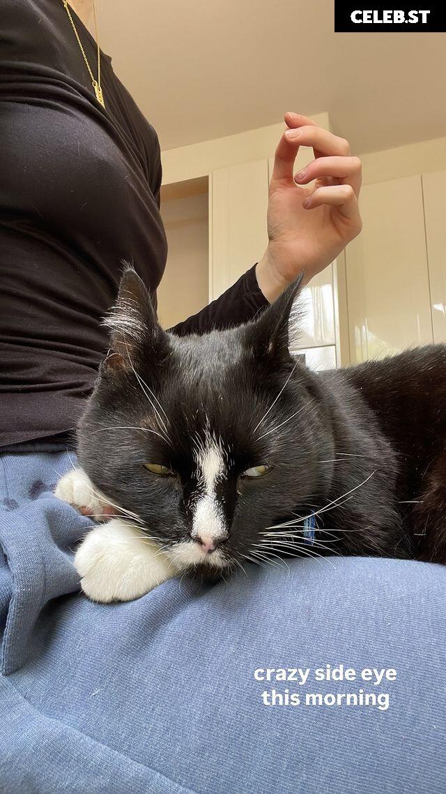 Bubbell Image 3634246