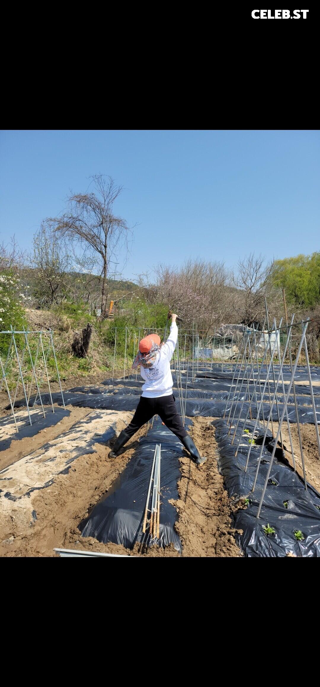 Yuggie_TV Image 3631984