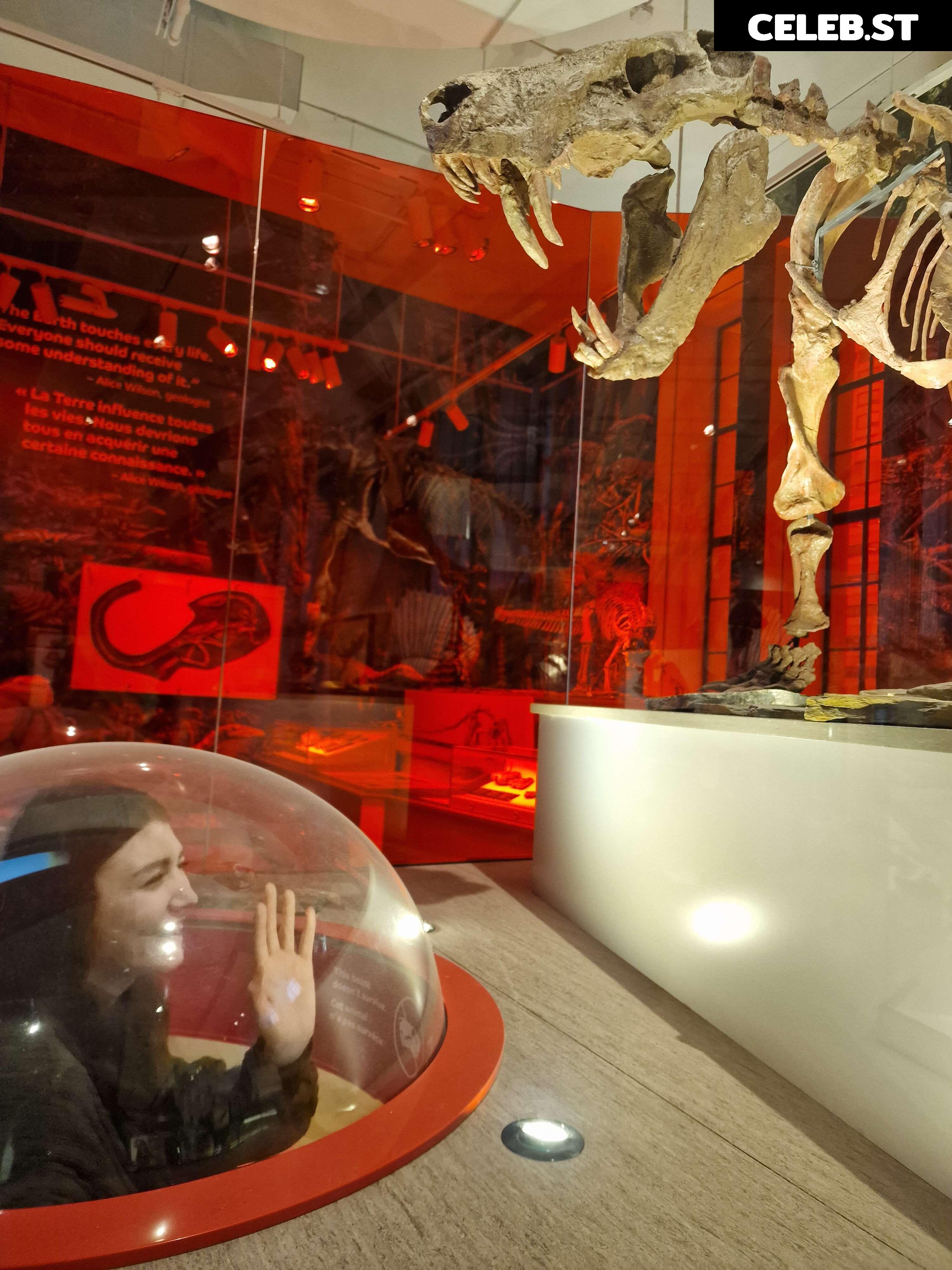 Wolfabelle Image 3633716