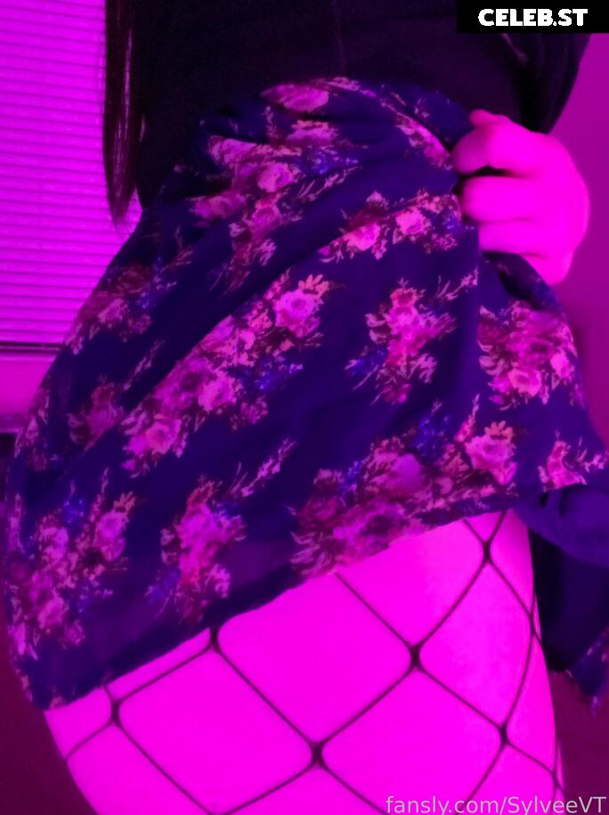 SylveeVT / Sylvee Image 3626795