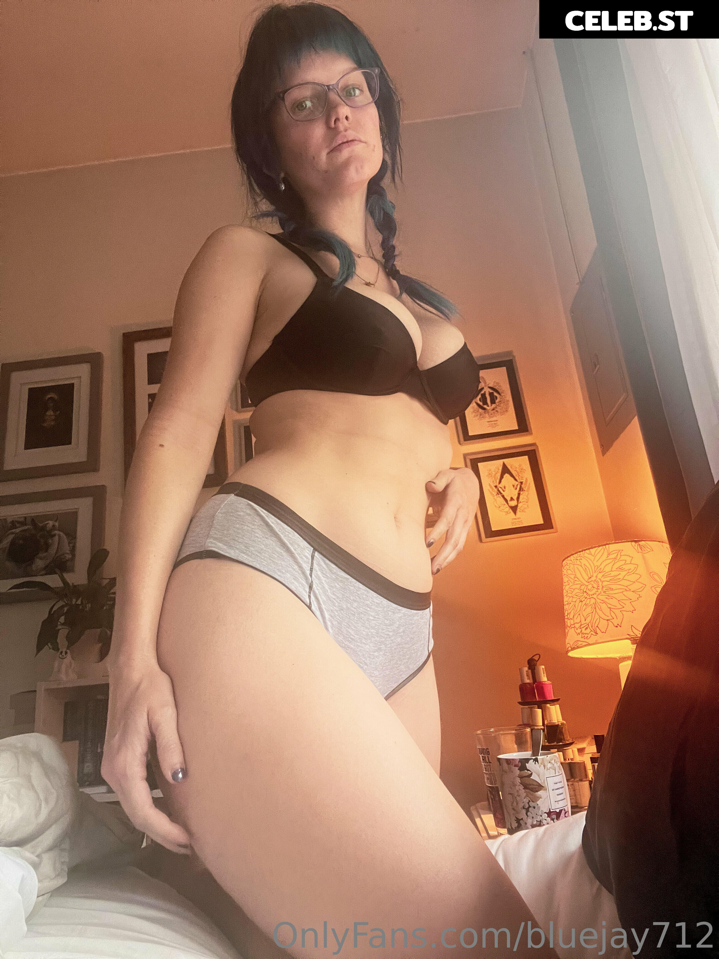 Bluejay Image 3626362