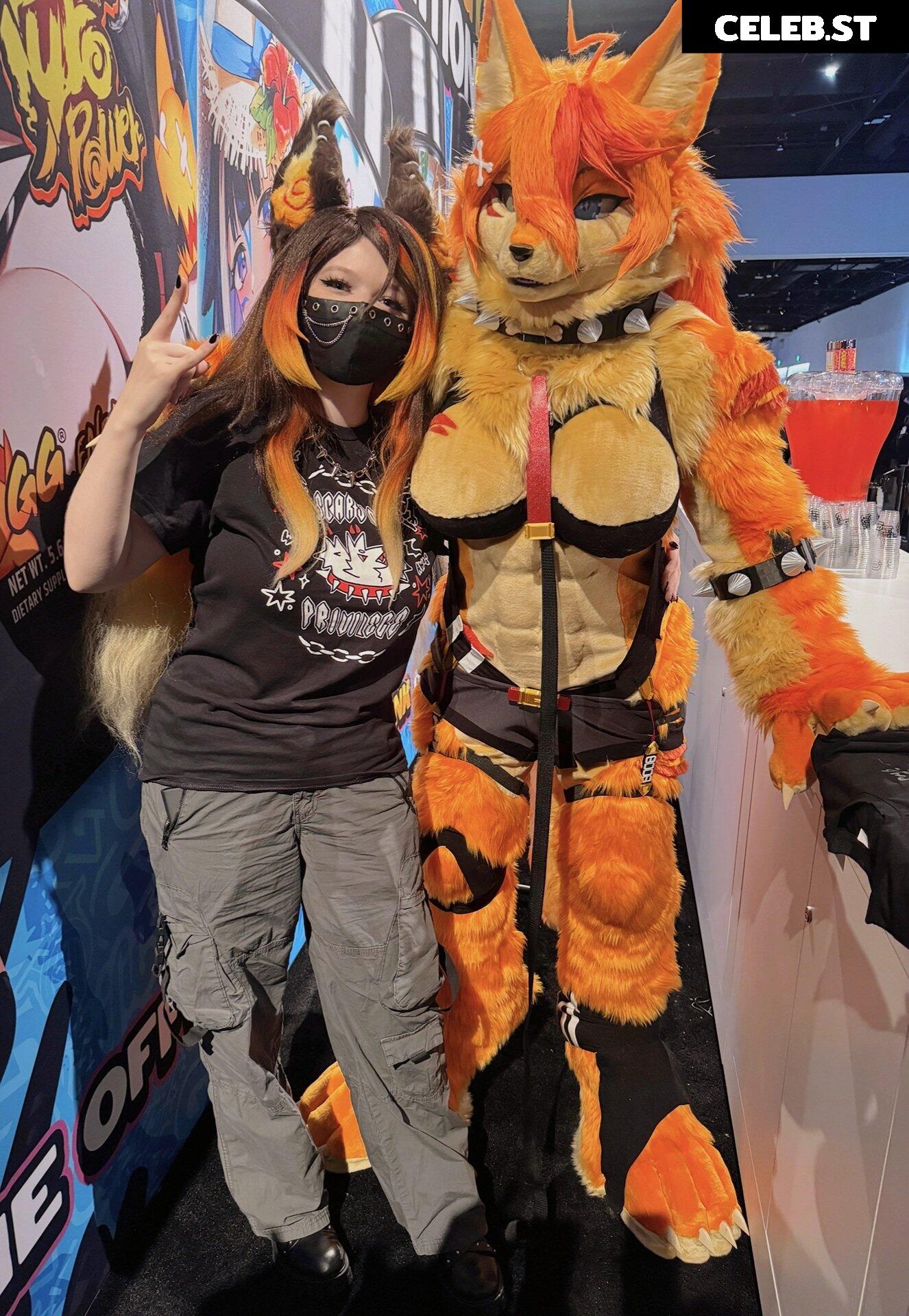 Buffpup Image 3626263