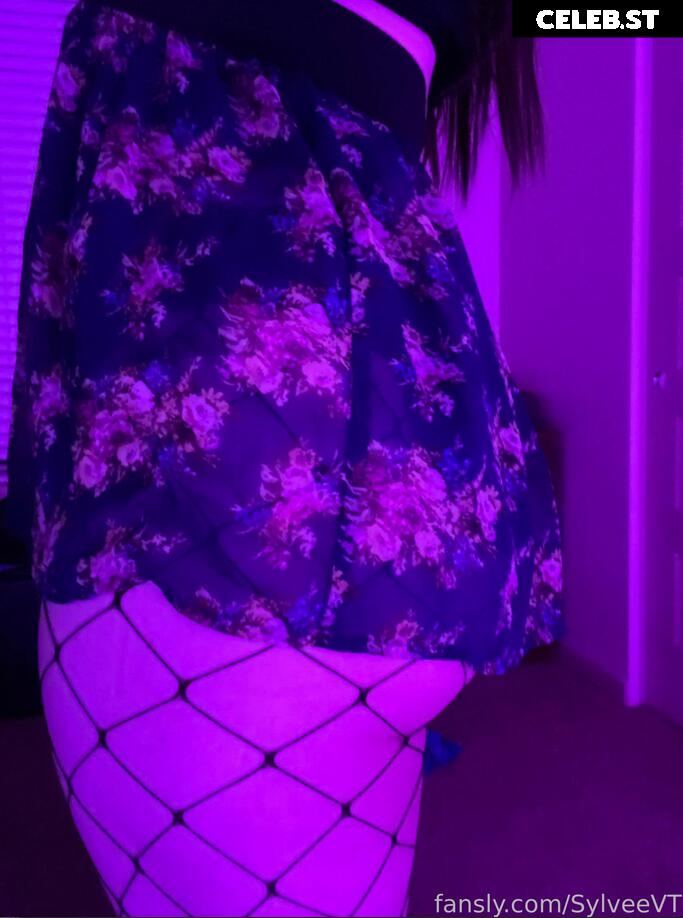 SylveeVT / Sylvee Image 3626927