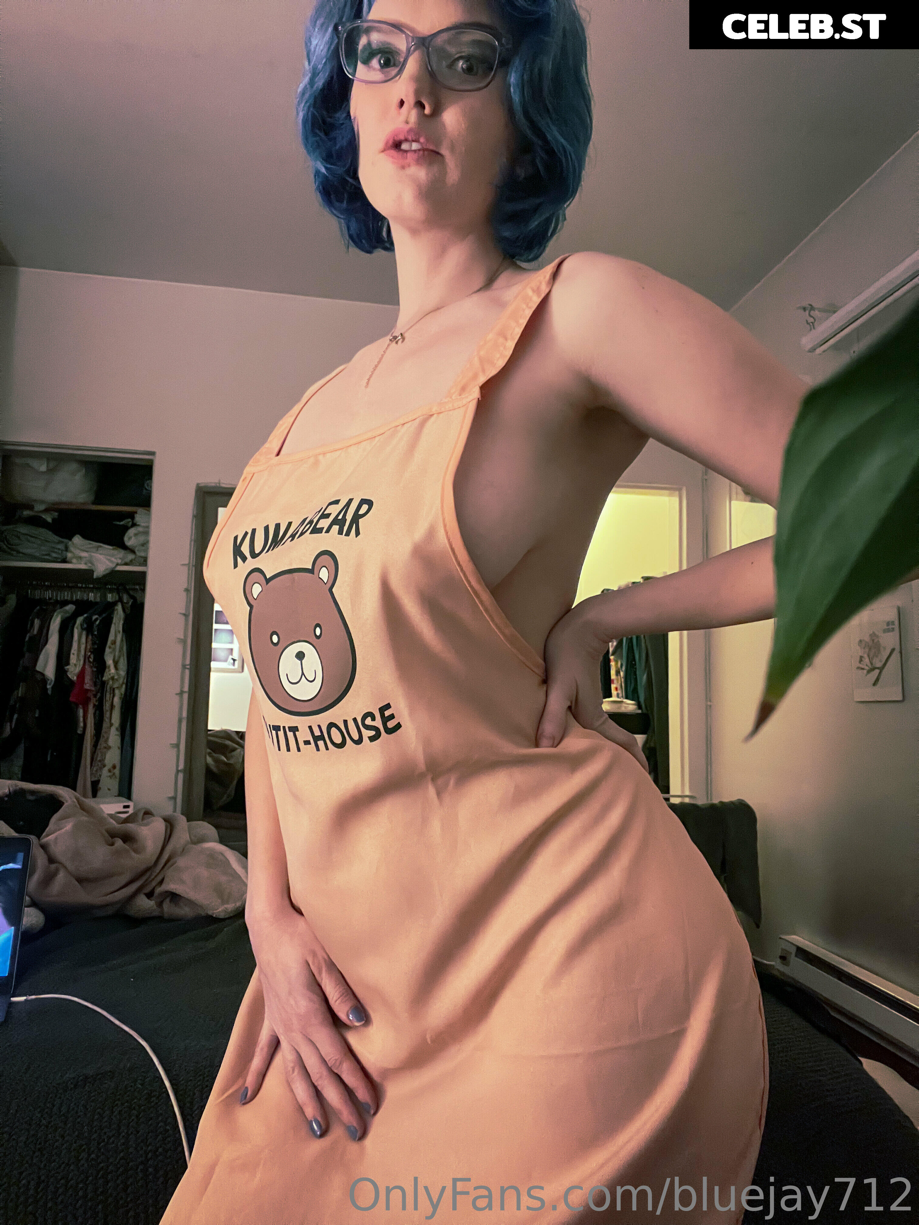 Bluejay Image 3627650