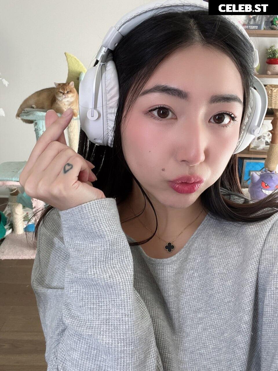 xChocobars Image 3624448