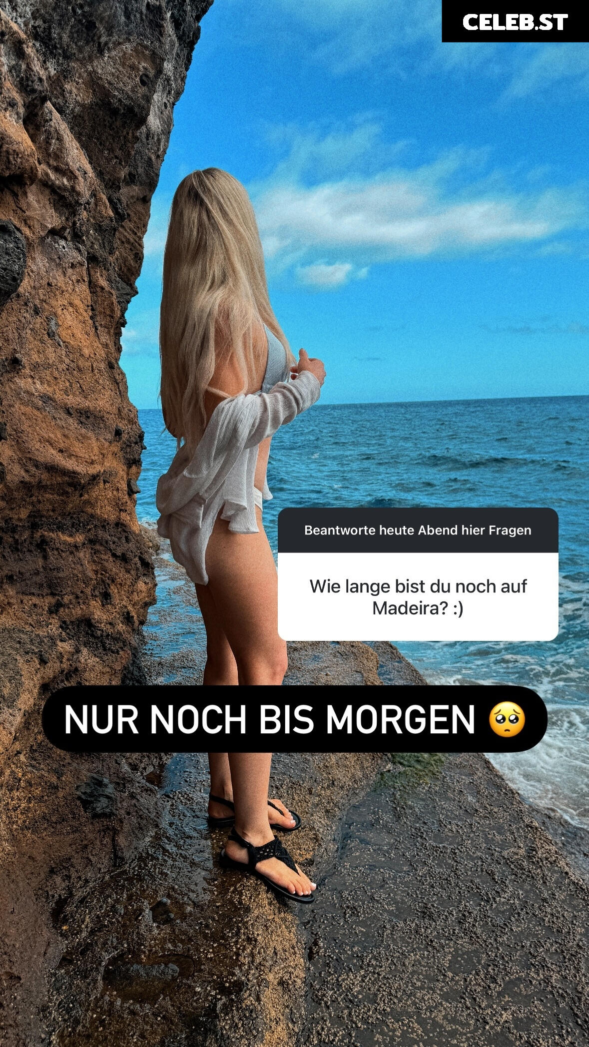 Milschbaum / Sonja Image 3623244