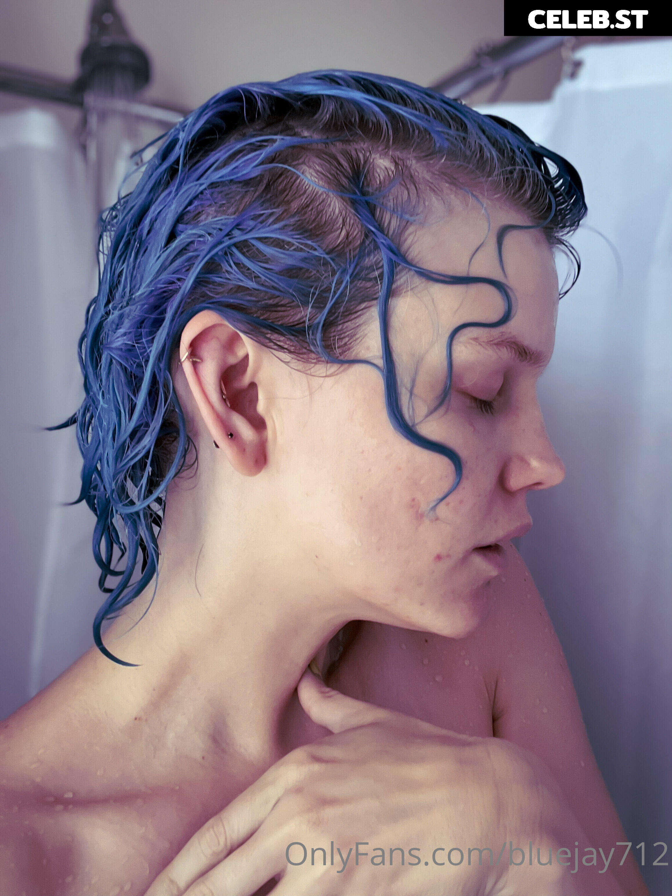Bluejay Image 3629524