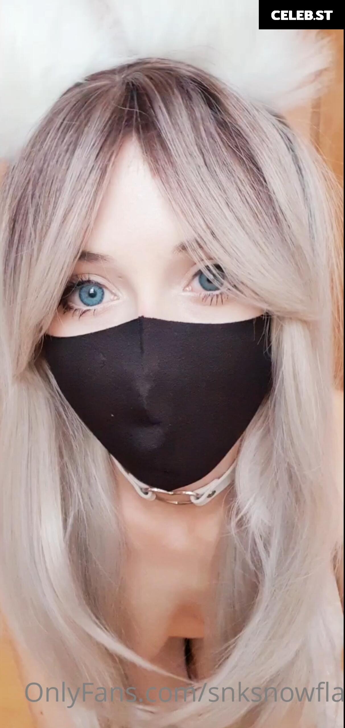 SnkSnowflake Image 362947