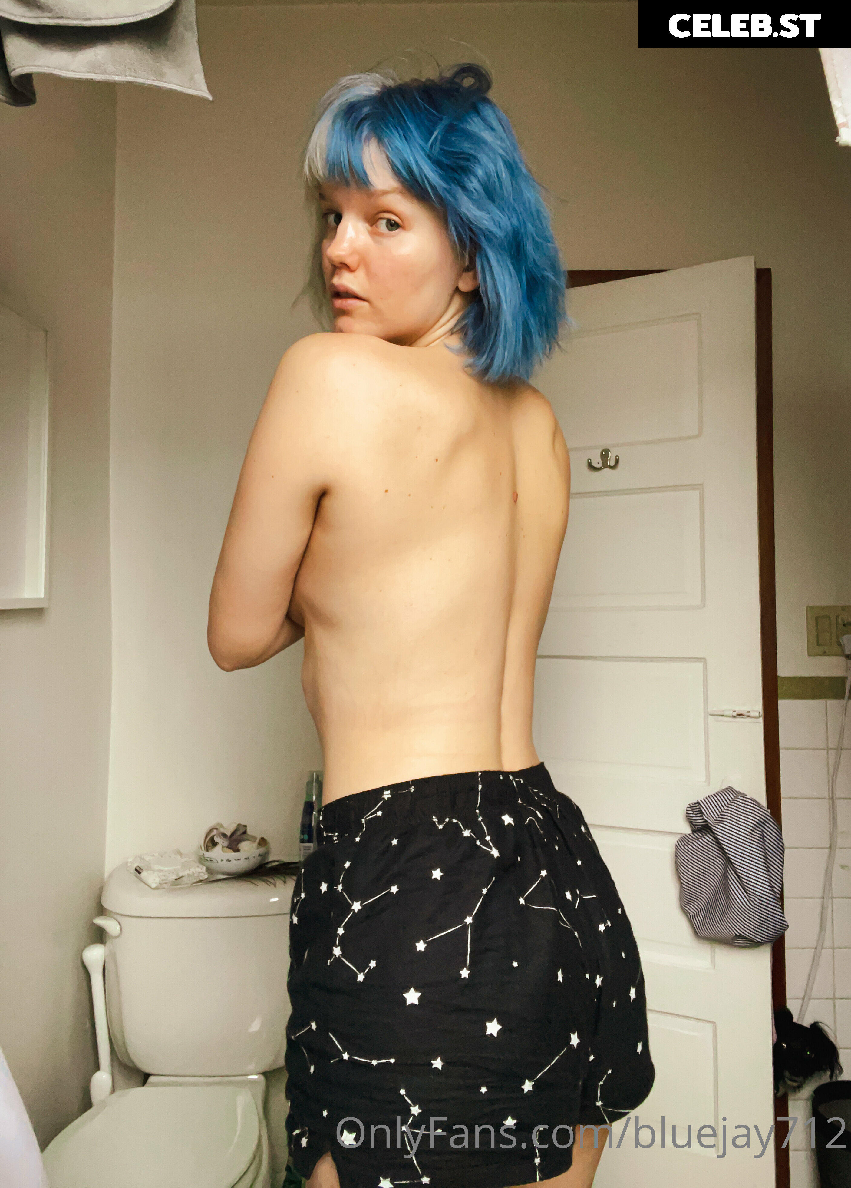 Bluejay Image 3628409