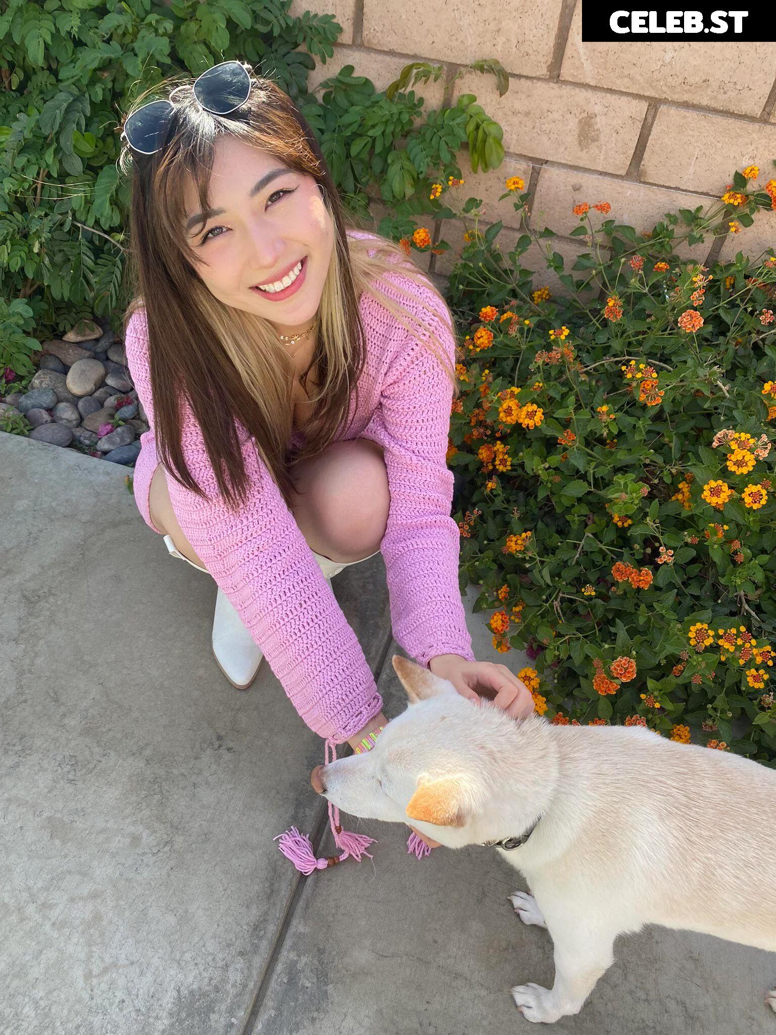 xChocobars Image 3612566