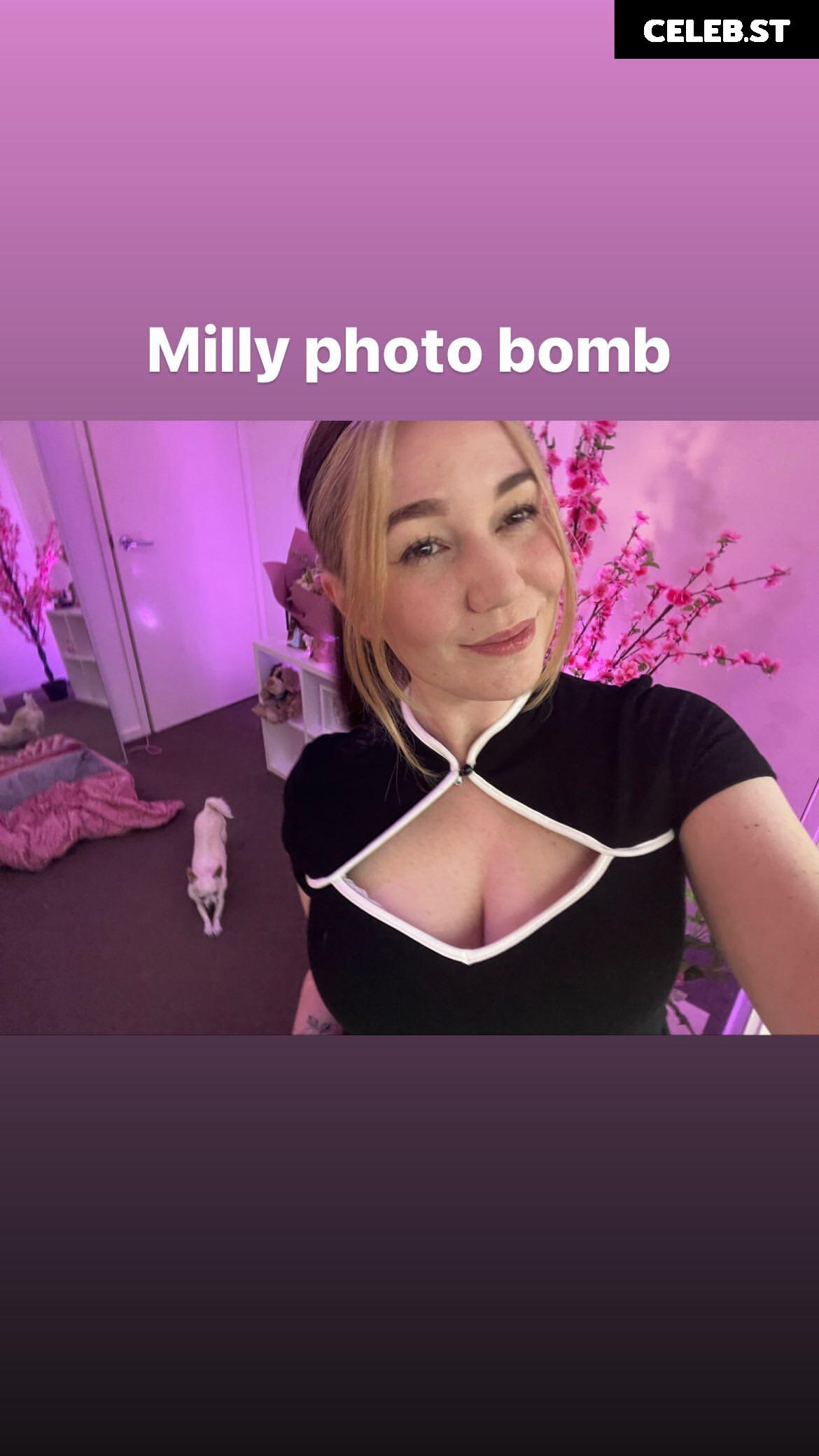 Itsbordie/Bordie Image 3612060