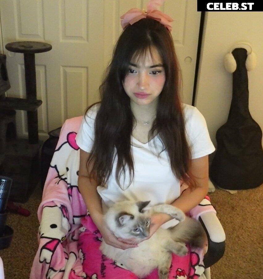 xmisabear / misabear Image 3613597