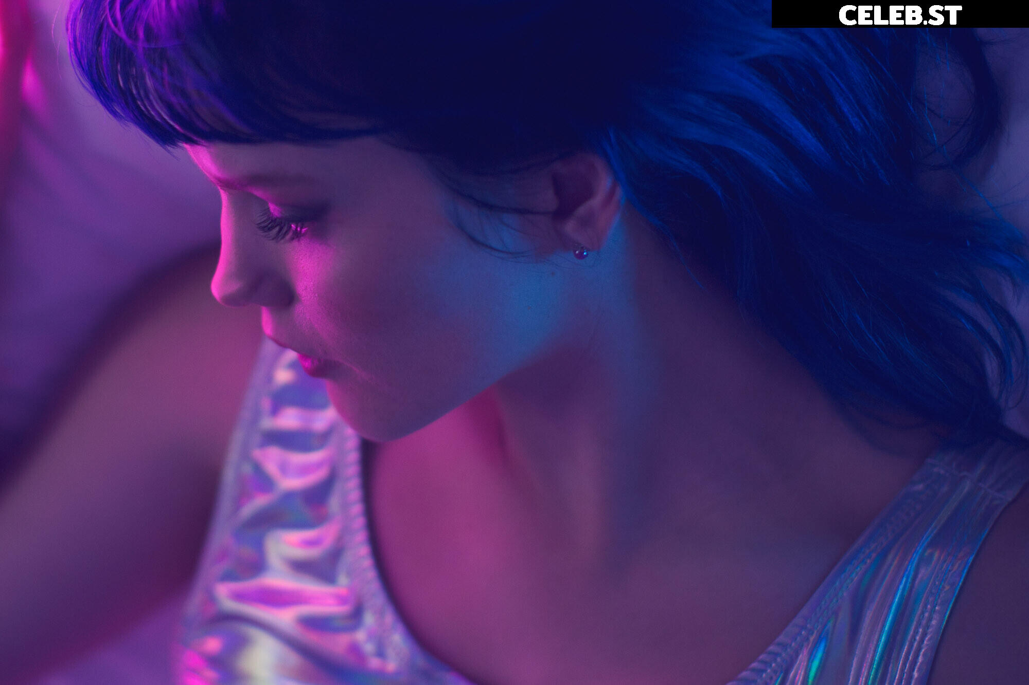 Bluejay Image 3613640