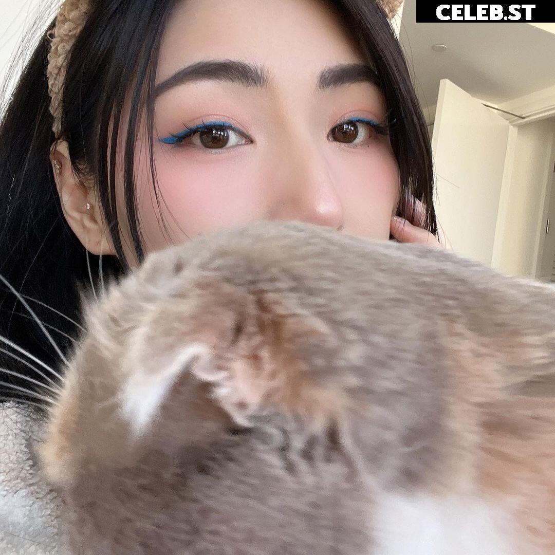 xChocobars Image 3619373
