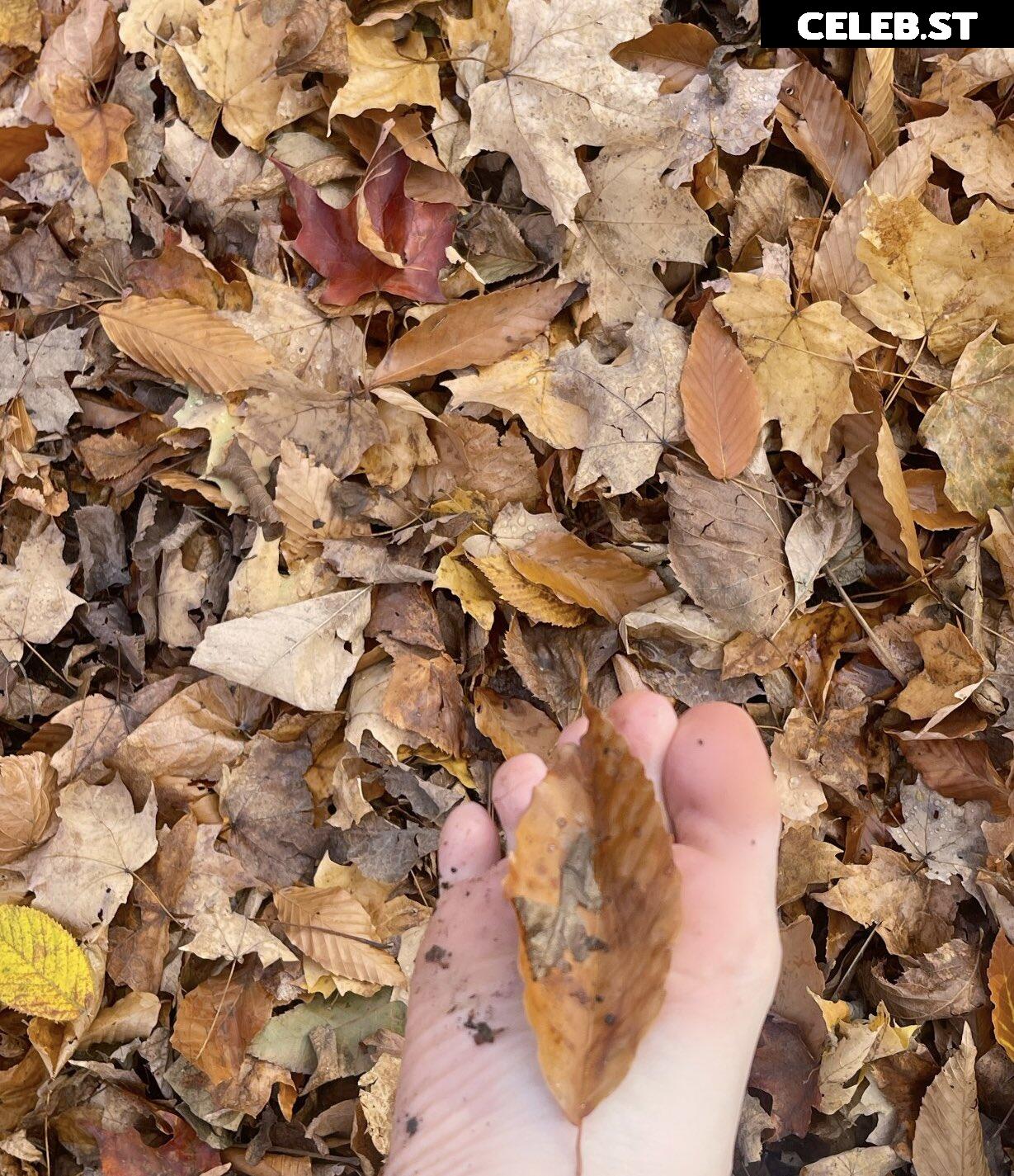 Tsuki_Tyann | TsukiTyan Image 3618617