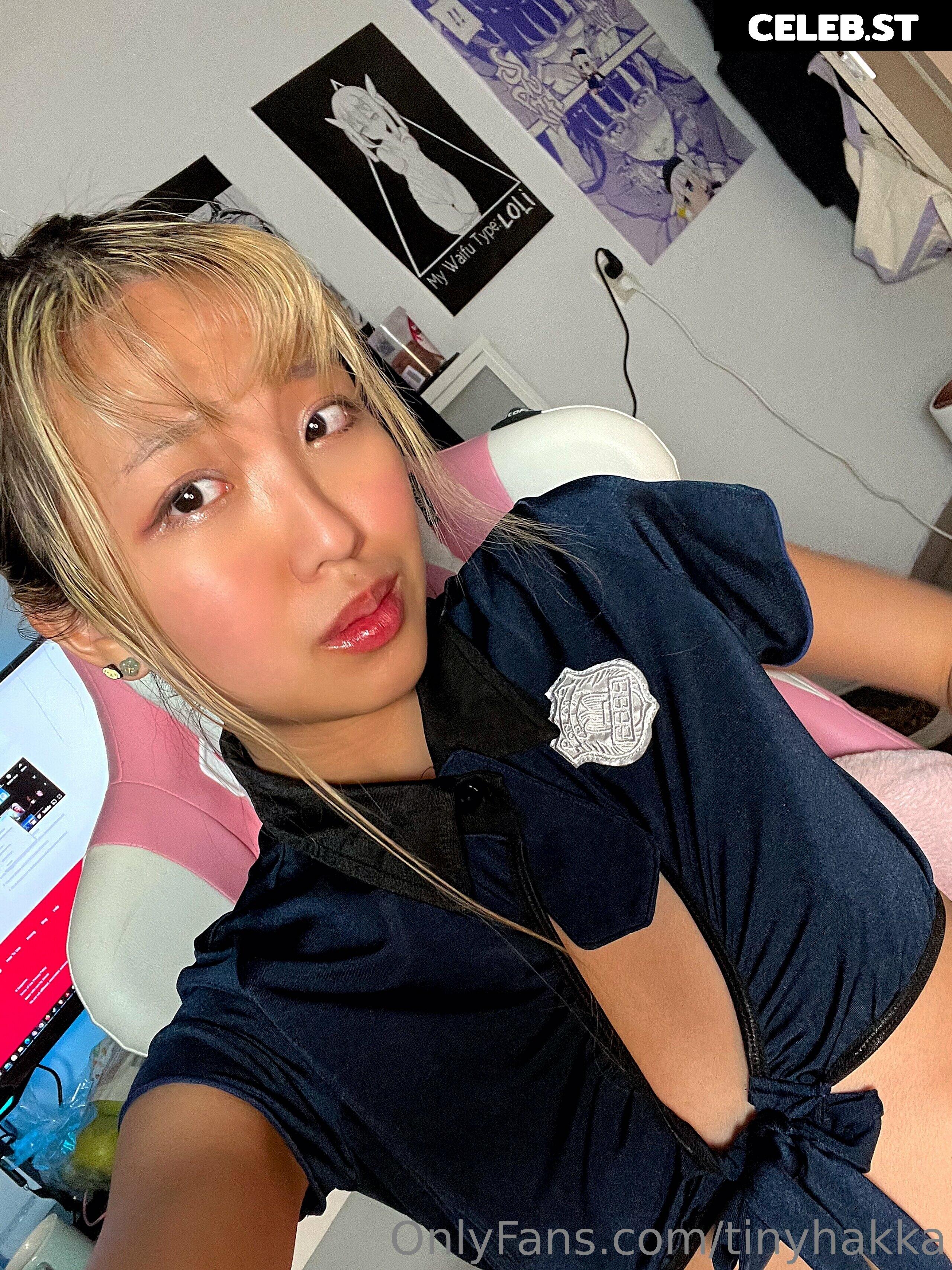 Neko Cynthia / hakkamee_soup / hakkamee_soupfree Image 3605612