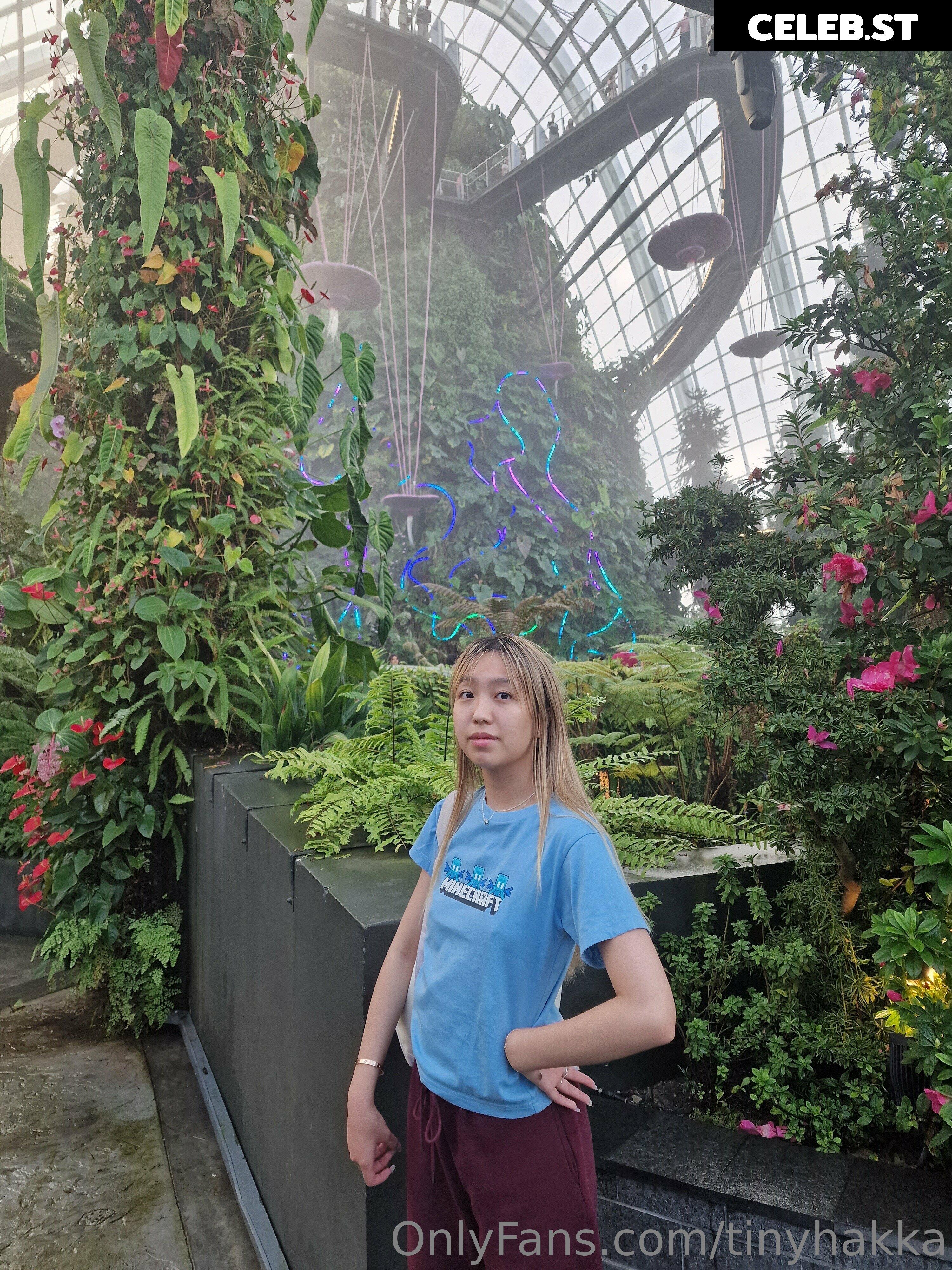 Neko Cynthia / hakkamee_soup / hakkamee_soupfree Image 3606479