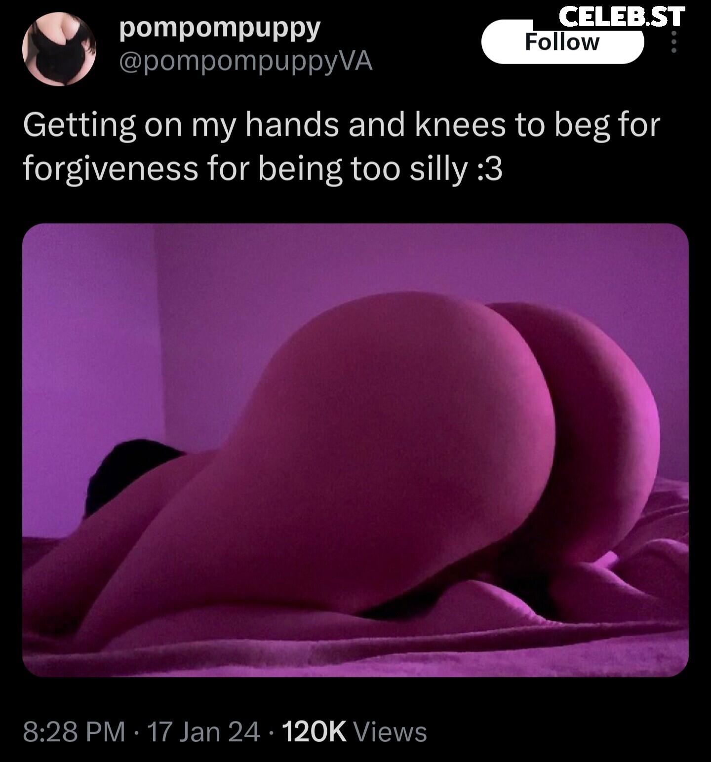 pompompuppy Image 3604385