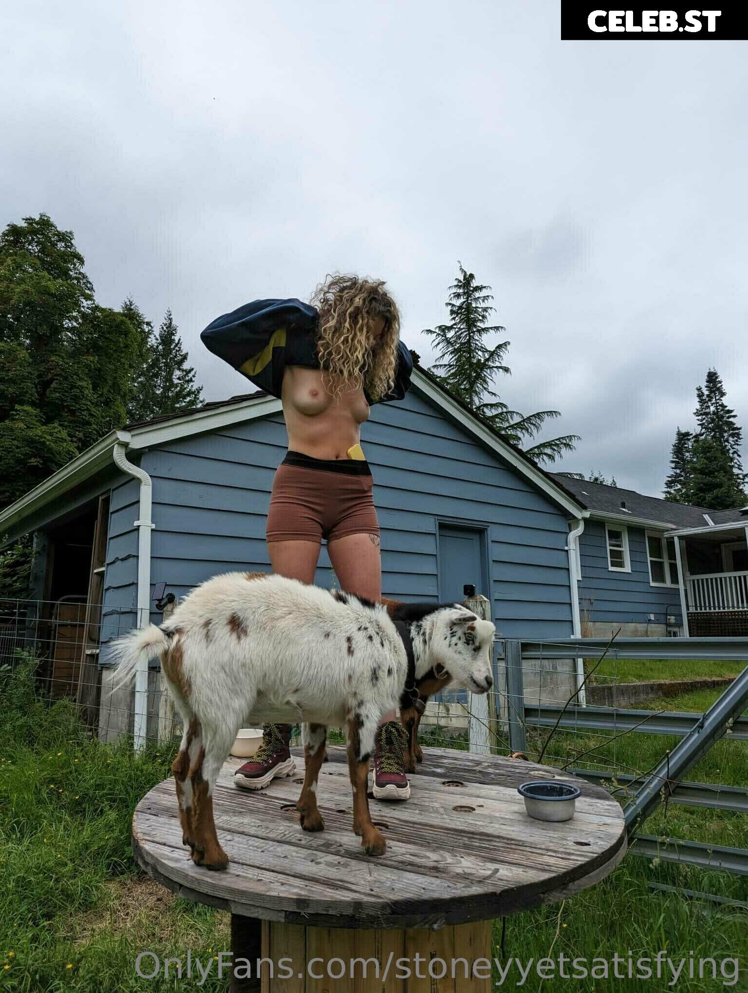 wearewildwinter Image 3603559