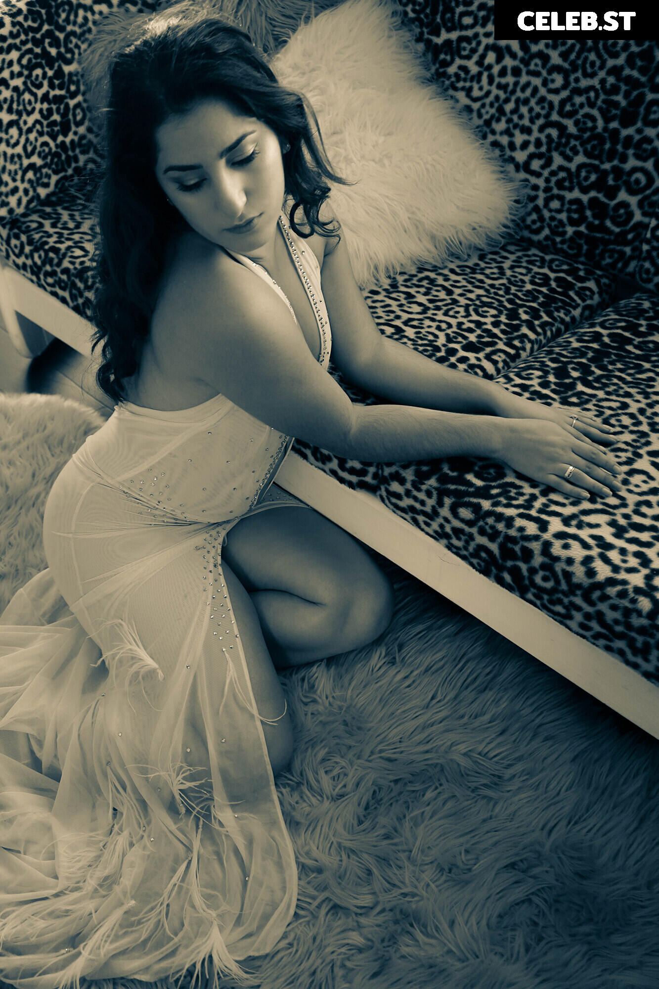 Carlotta Champagne Image 3798861