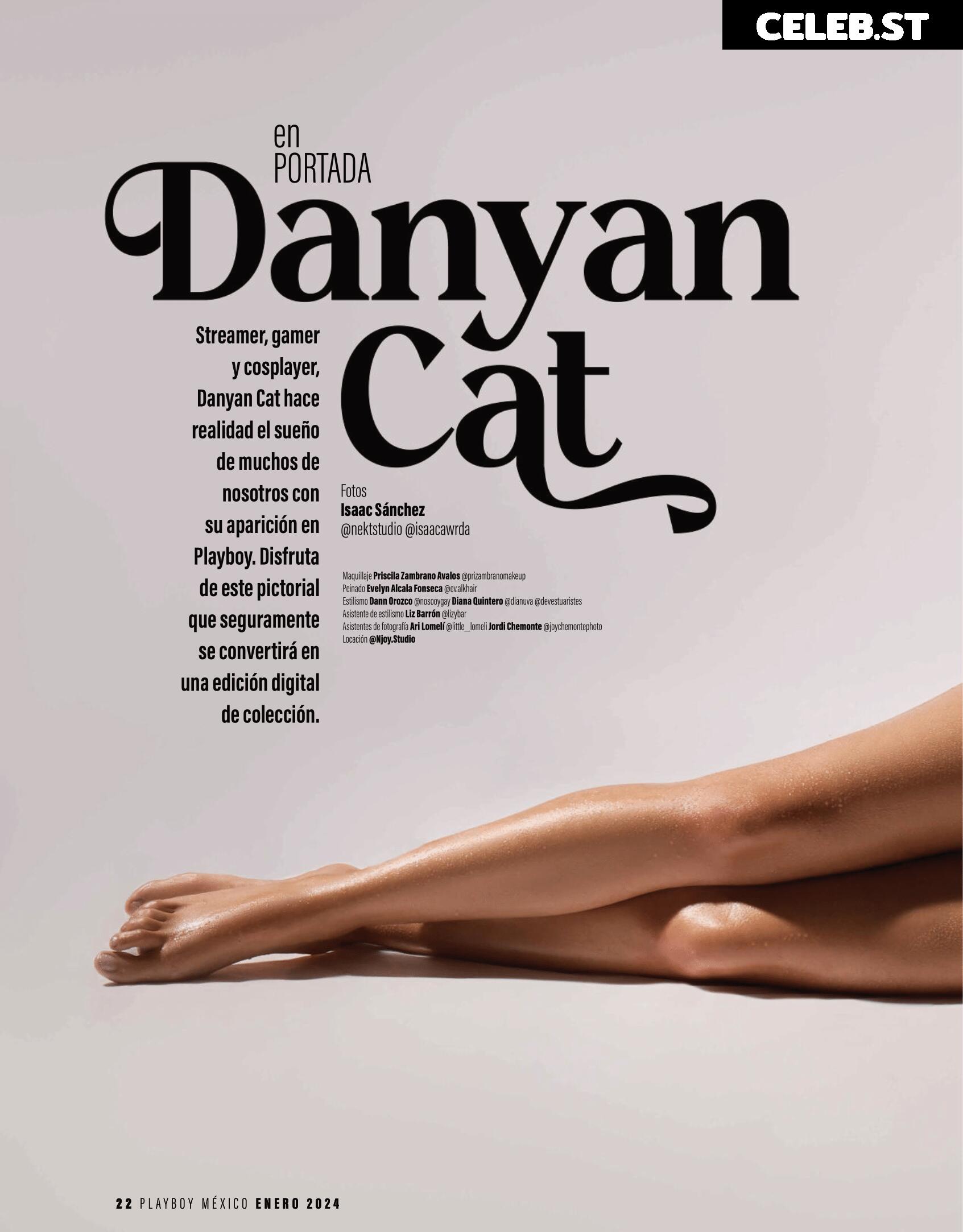 DanyanCat Image 3781338