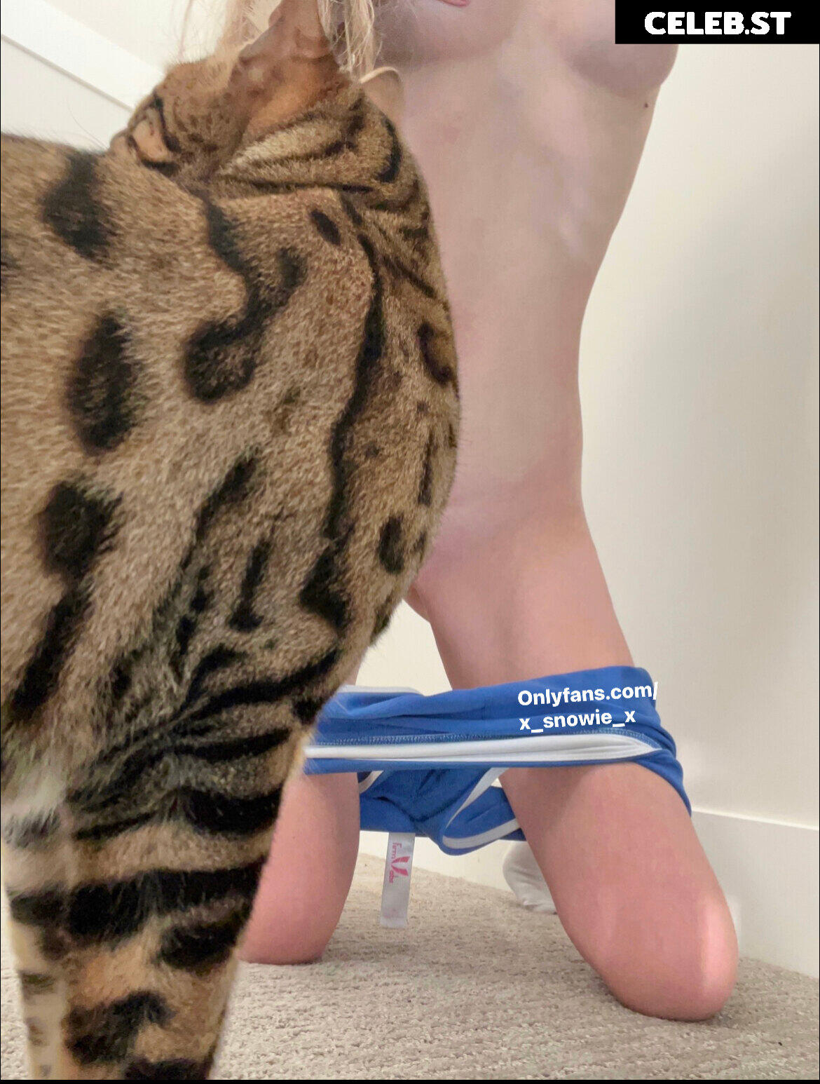 x_snowie_x Image 3752776