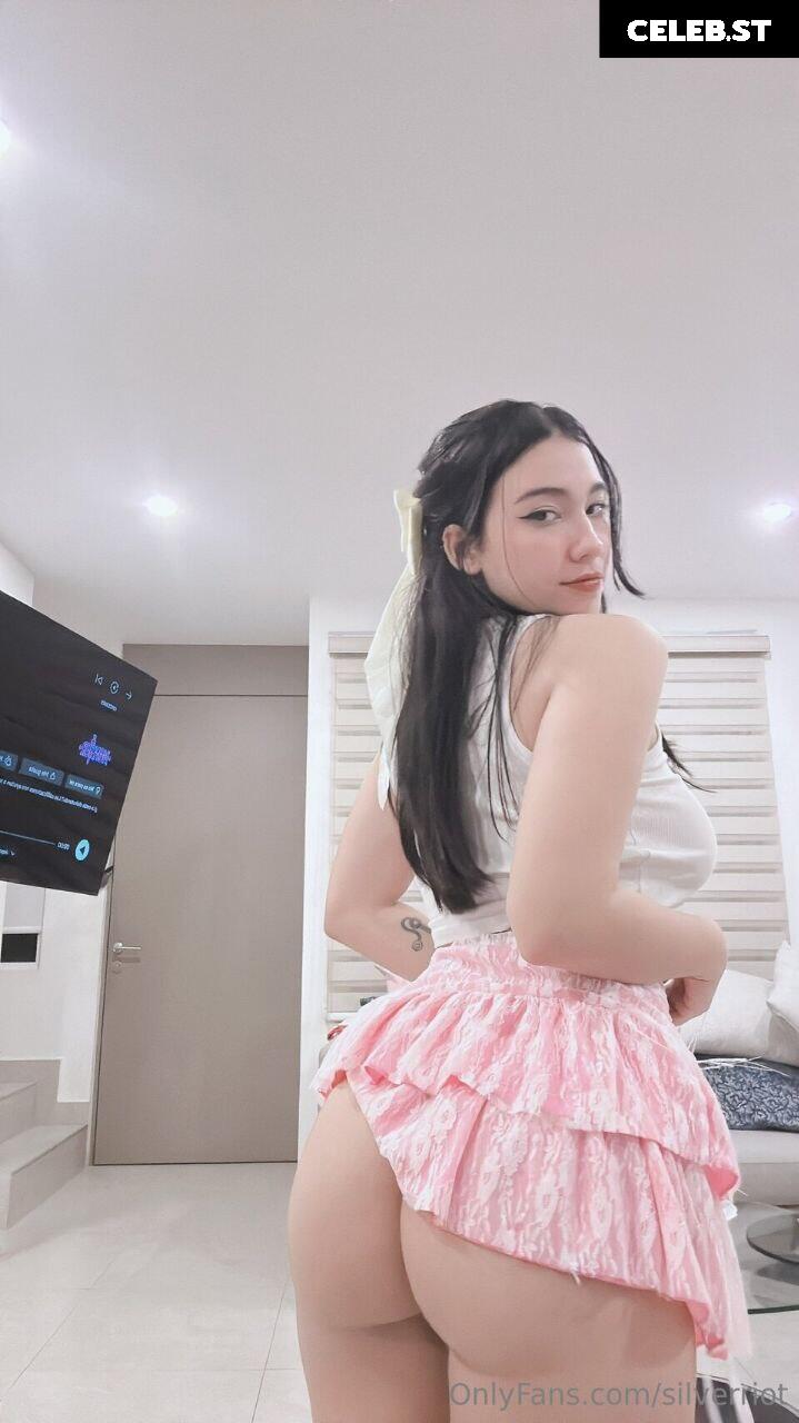 SilverRiot Image 3734684