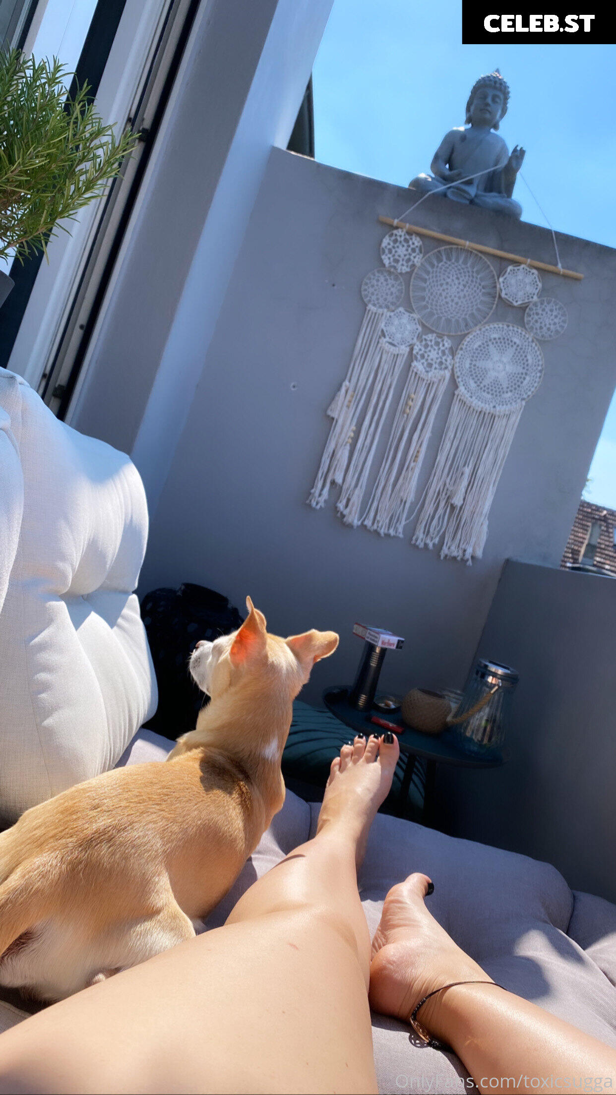 toxicsugga Image 372609