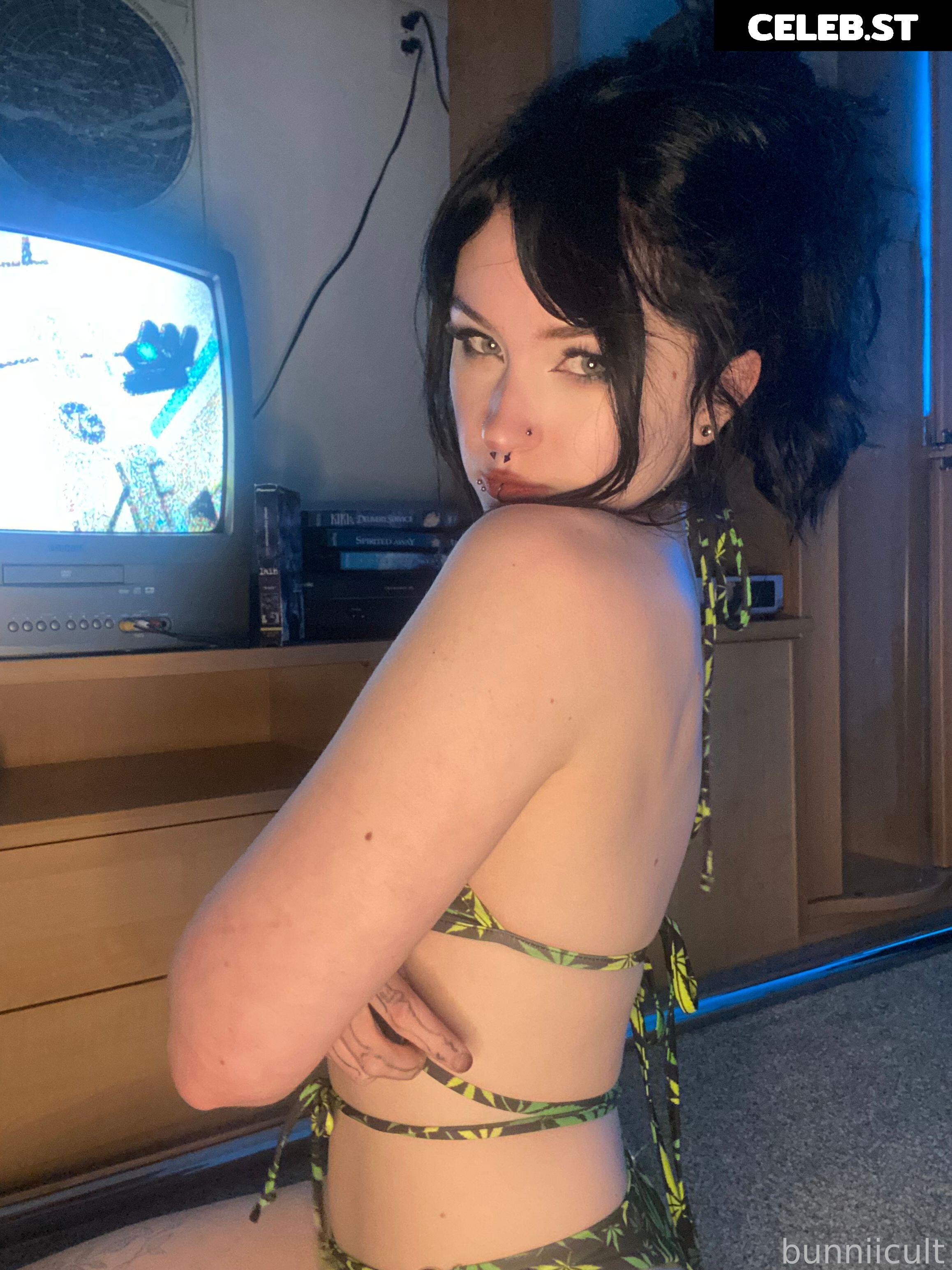 bunniicult Image 3721101