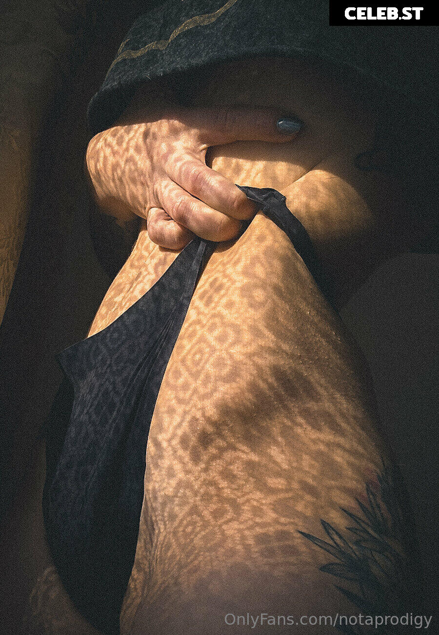 Notaprodigy Image 3720827