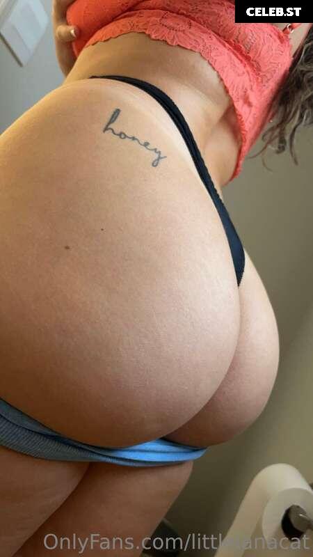 Littlelanacat Image 3728318